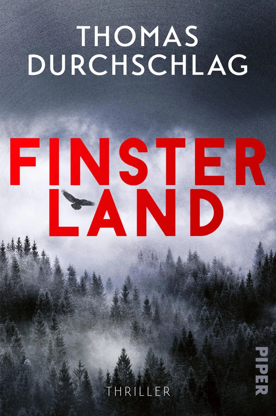Cover: Finsterland (Paperback) von Thomas Durchschlag