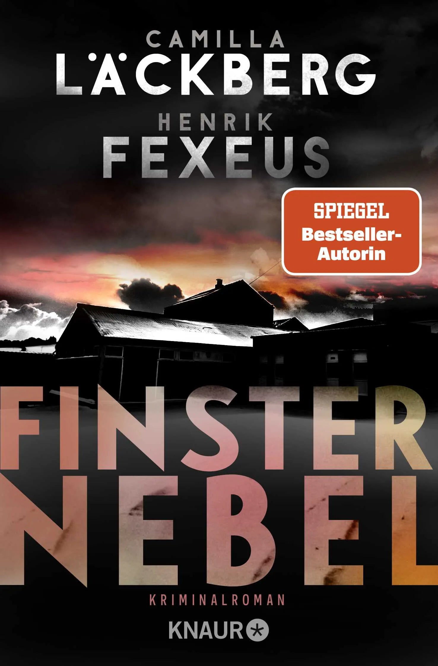 Buchcover von 'Finsternebel' - Taschenbuch von Camilla Läckberg