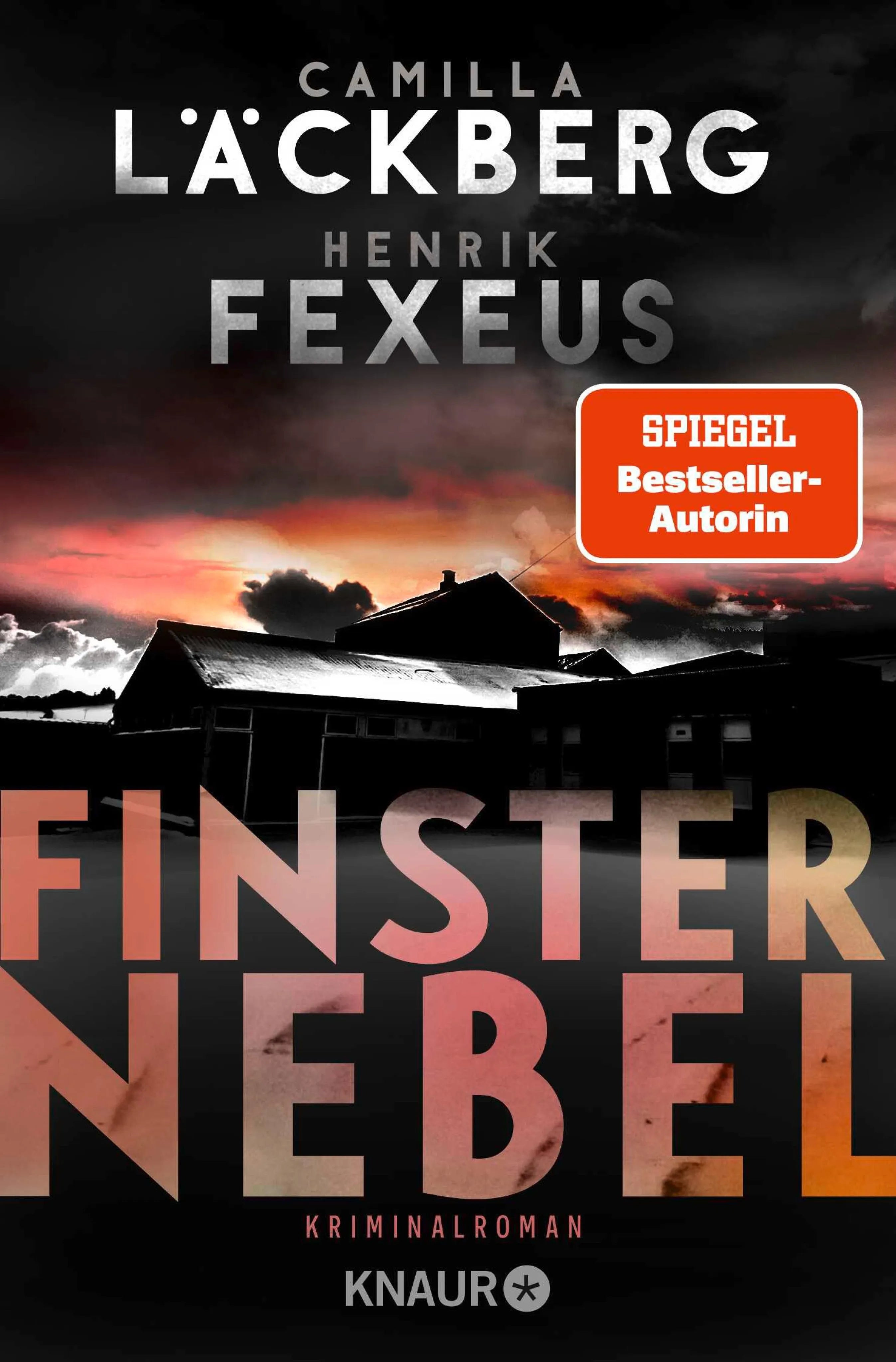 Cover: Finsternebel (E-Book) von Camilla Läckberg