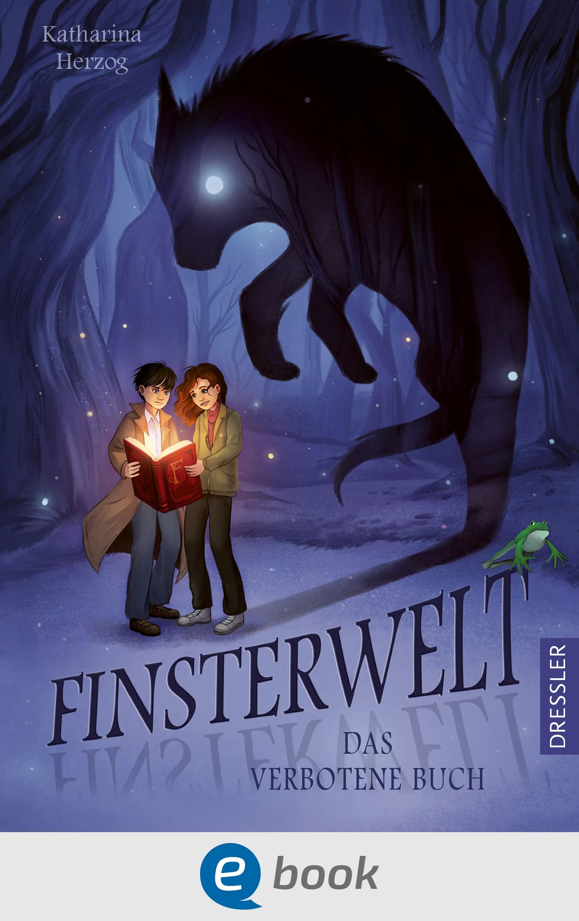 Cover: Finsterwelt 1. Das verbotene Buch (E-Book) von Katharina Herzog