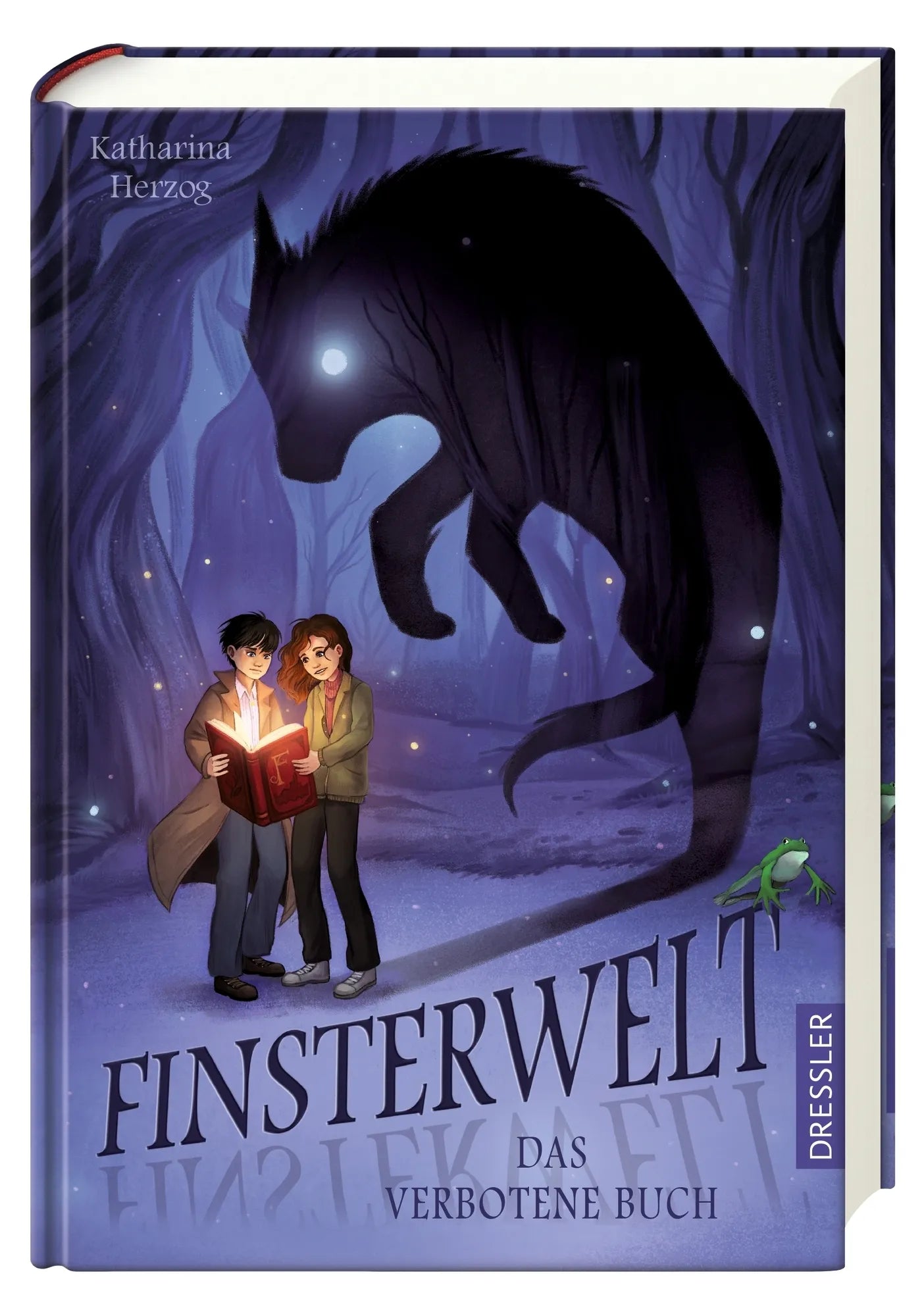 Abbildung von 'Finsterwelt 1. Das verbotene Buch'