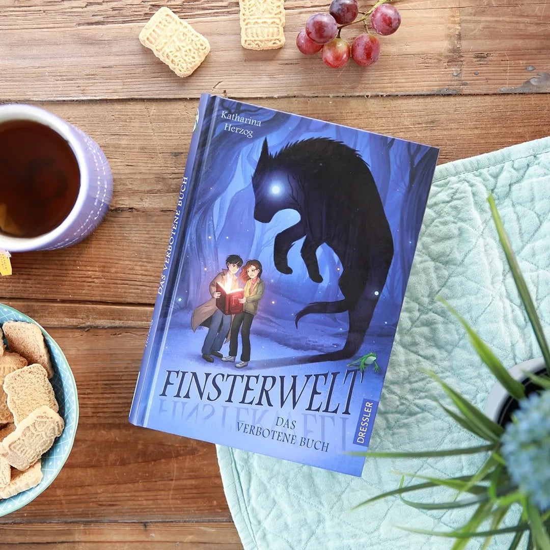 Produktansicht: Finsterwelt 1. Das verbotene Buch (Gebundene Ausgabe)