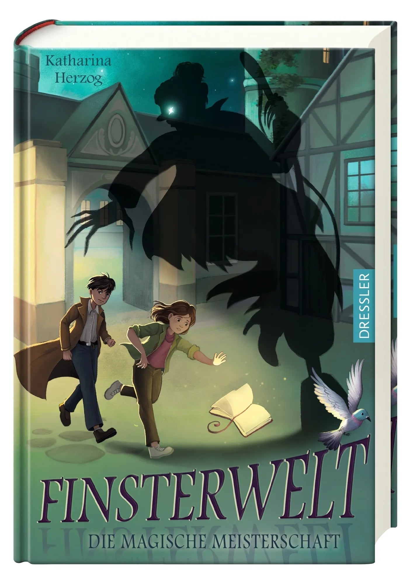 Abbildung von 'Finsterwelt 2. Die magische Meisterschaft'