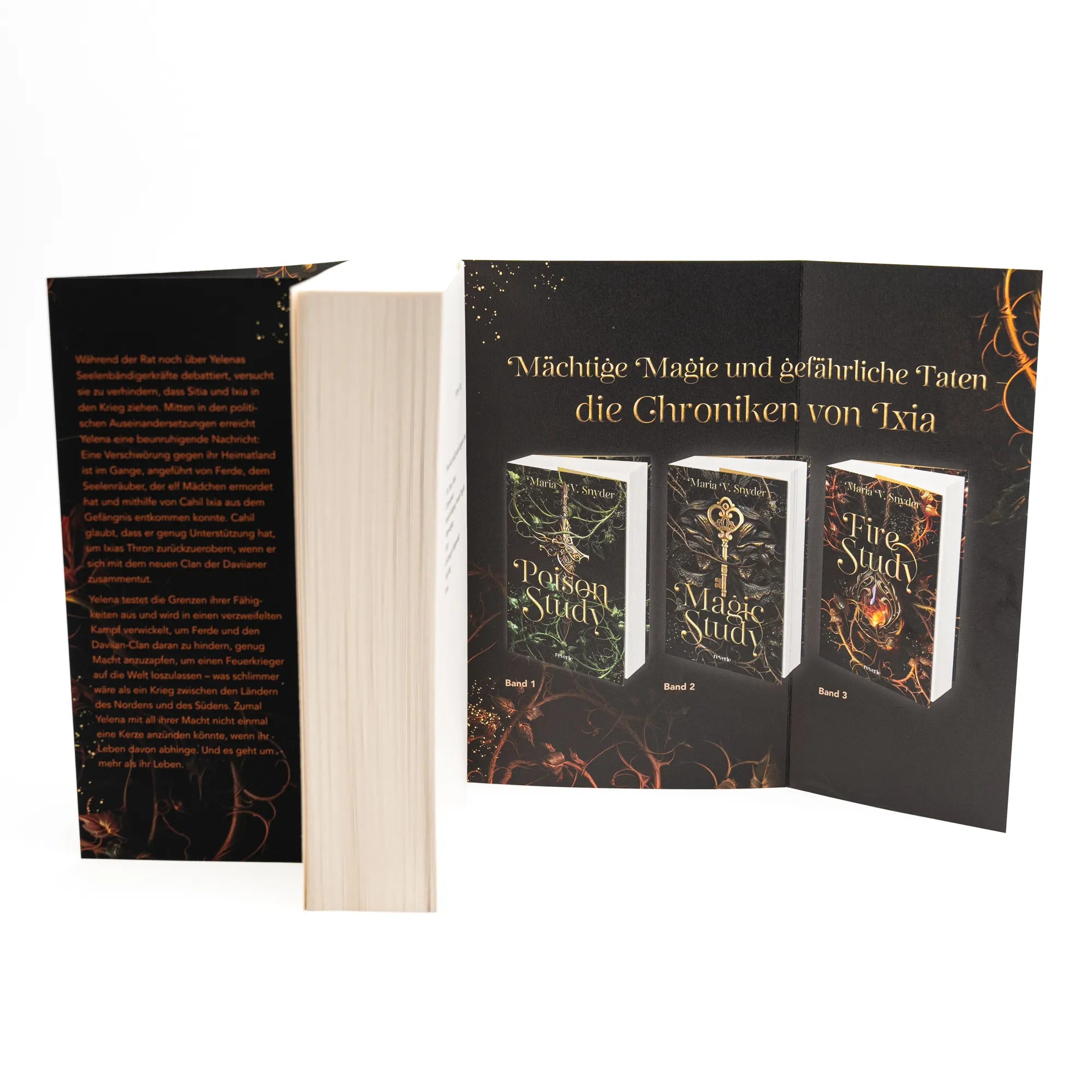 Detailansicht: Fire Study (Paperback)