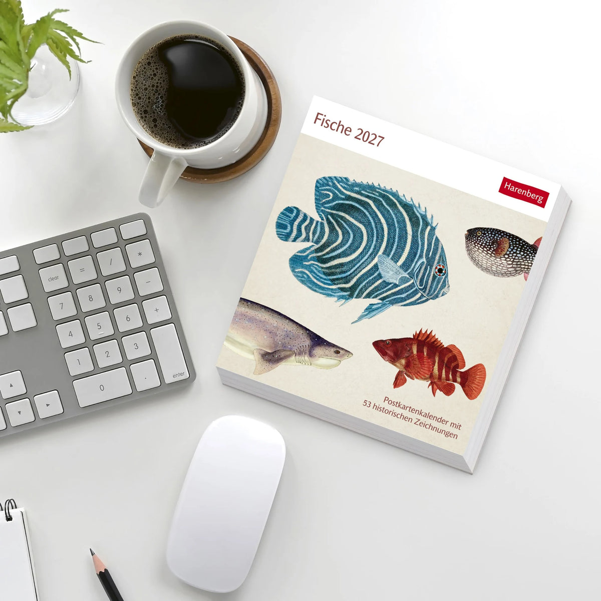 Fische Postkartenkalender 2027 - Postkartenkalender mit 53 historischen Zeichnungen – Ansicht