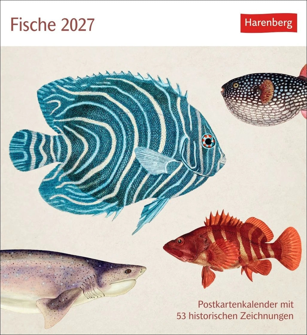 Postkartenkalender: Fische Postkartenkalender 2027 - Postkartenkalender mit 53 historischen Zeichnungen