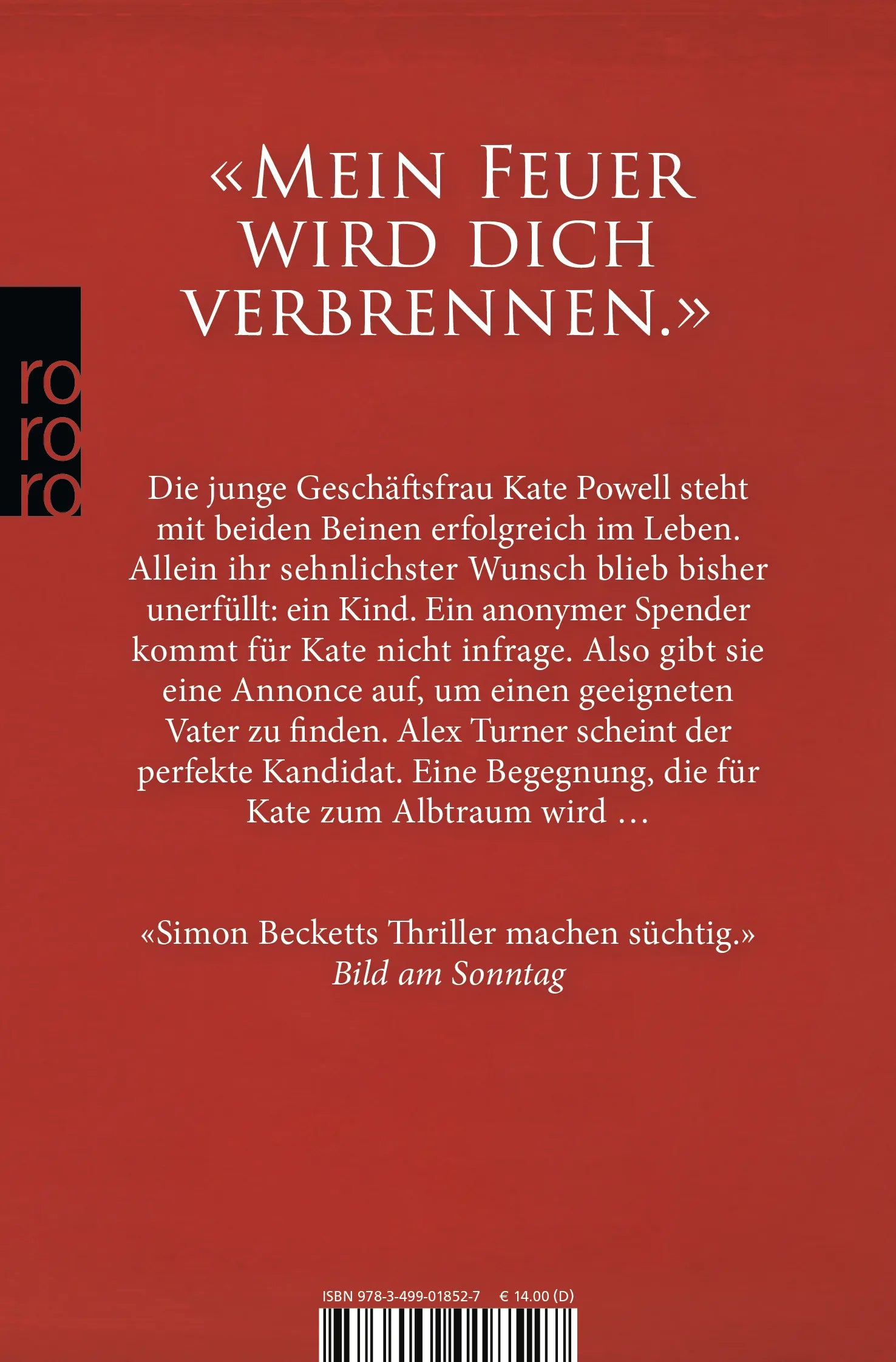 Buchrückseite von 'Flammenbrut' mit Klappentext - Taschenbuch