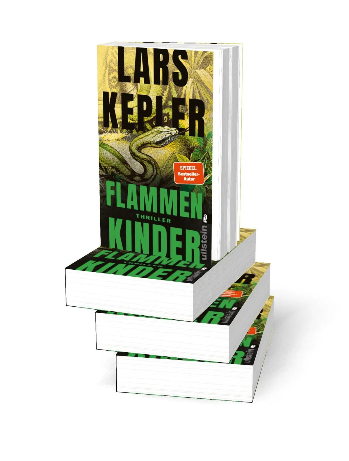 Detailansicht: Flammenkinder (Taschenbuch)