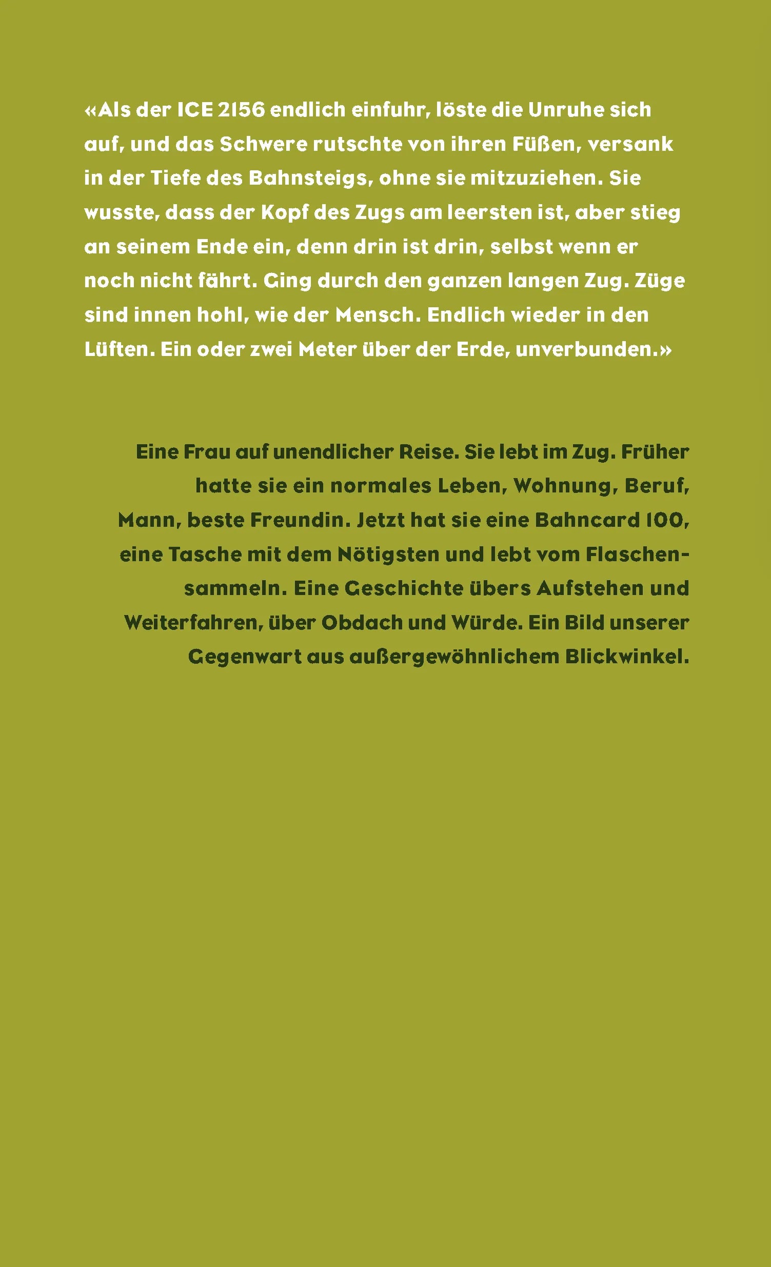 Buchrückseite von 'Fliegen' mit Klappentext - Gebundene Ausgabe
