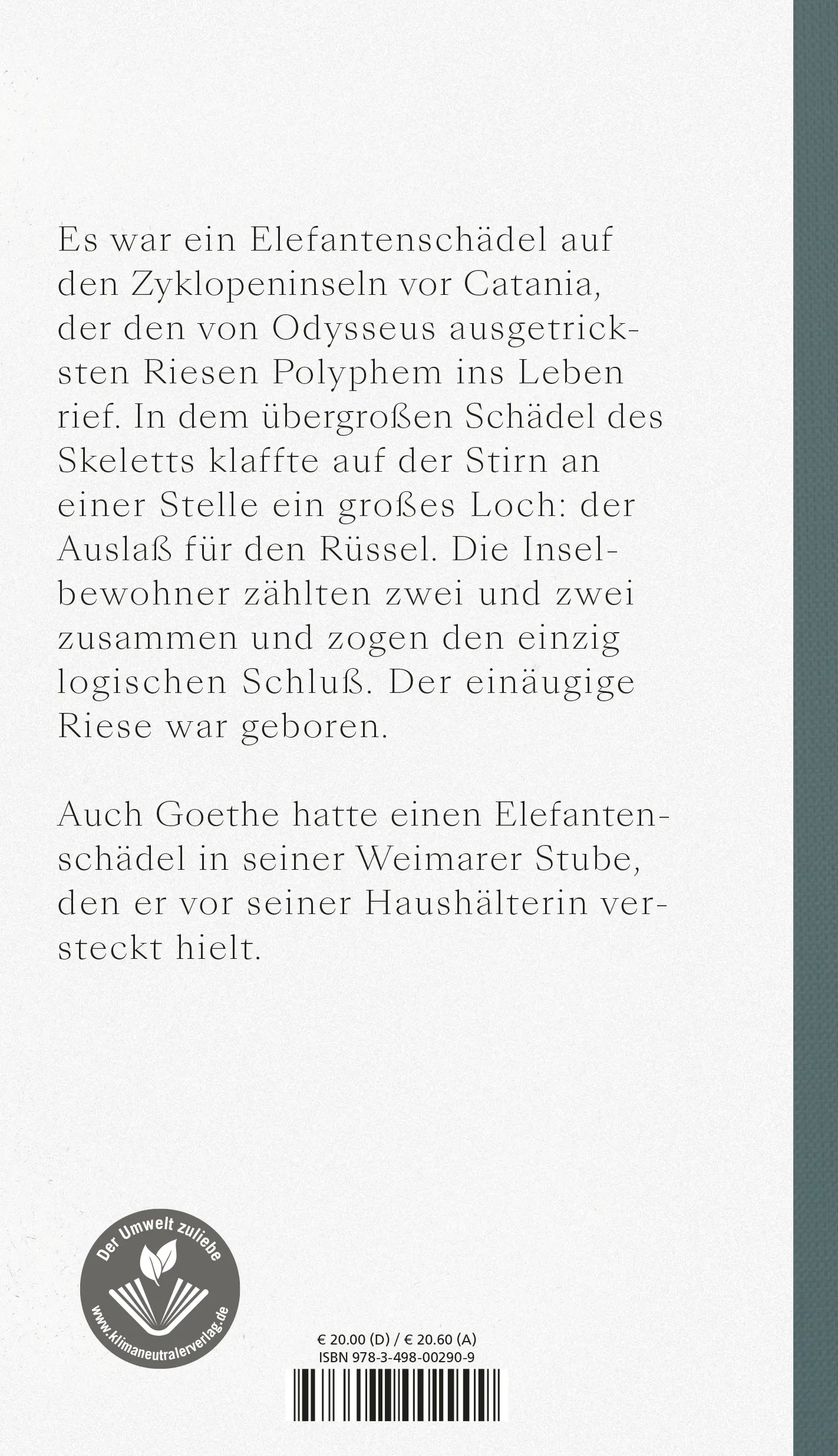 Buchrückseite von 'Fliegenpapier' mit Klappentext - Gebundene Ausgabe