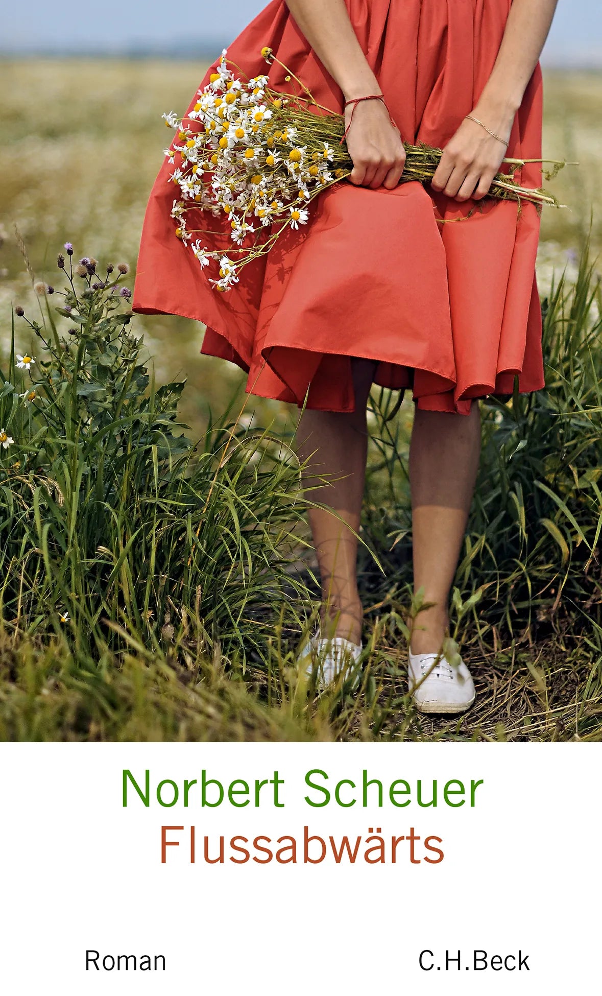 Buchcover von 'Flußabwärts' - Taschenbuch von Norbert Scheuer