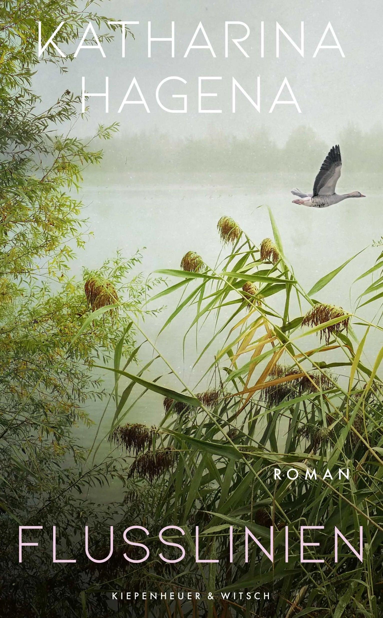 Cover: Flusslinien (Hardcover) von Katharina Hagena