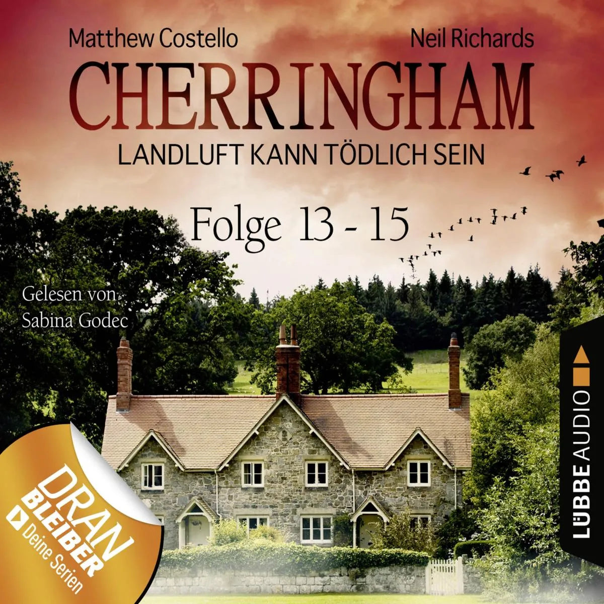 Cover: Folge 13-15 (Hörbuch Download) von Matthew Costello