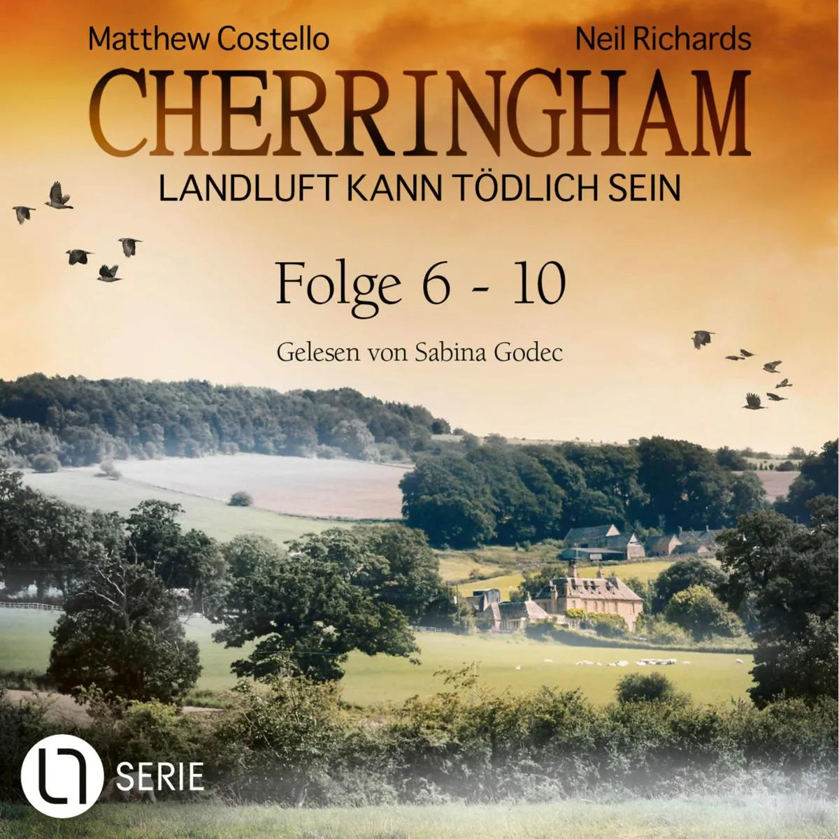 Cover: Folge 6-10 (Hörbuch Download) von Matthew Costello