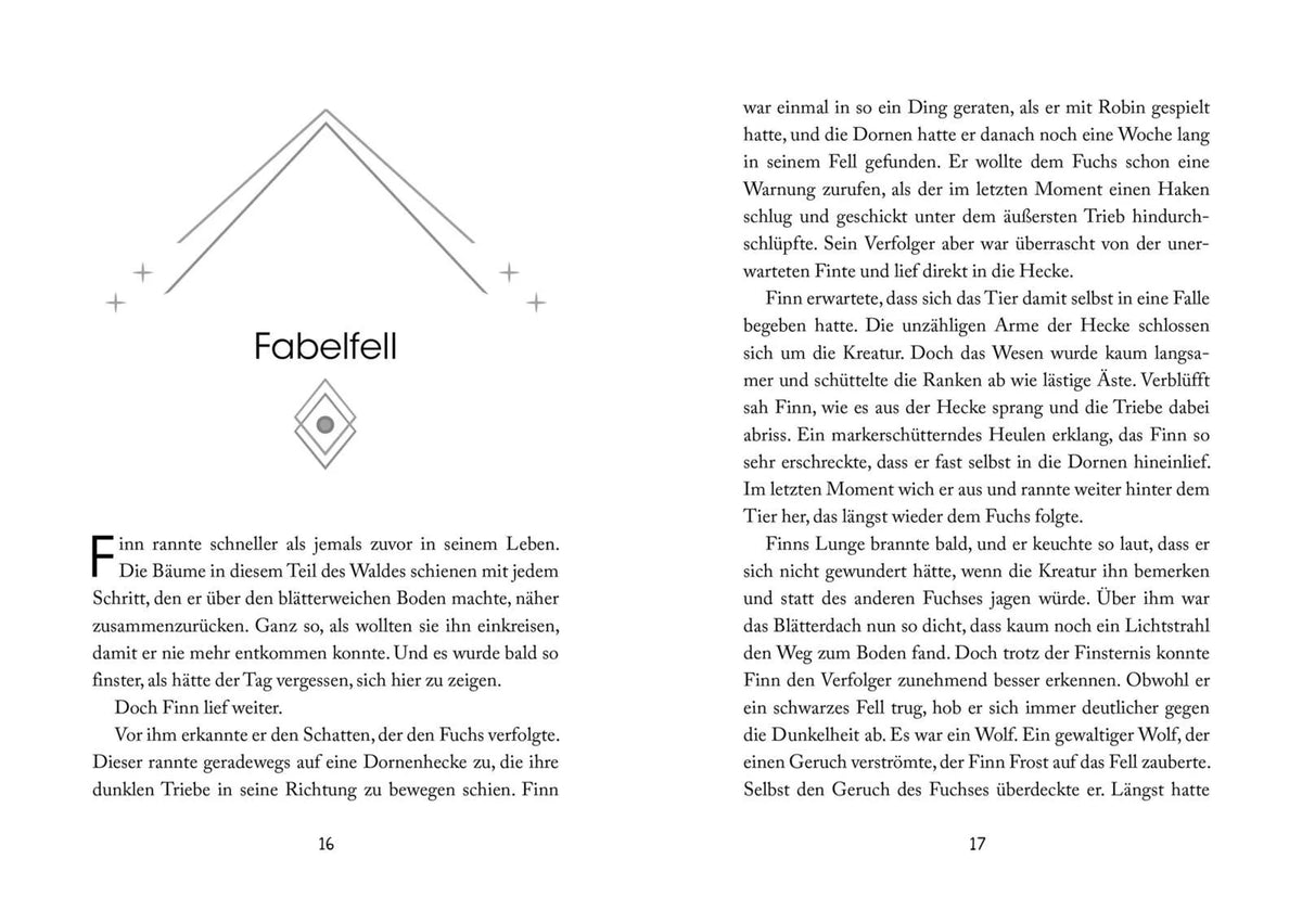 Detailansicht: Foxfighter 1: Angriff des Schattens (Taschenbuch)