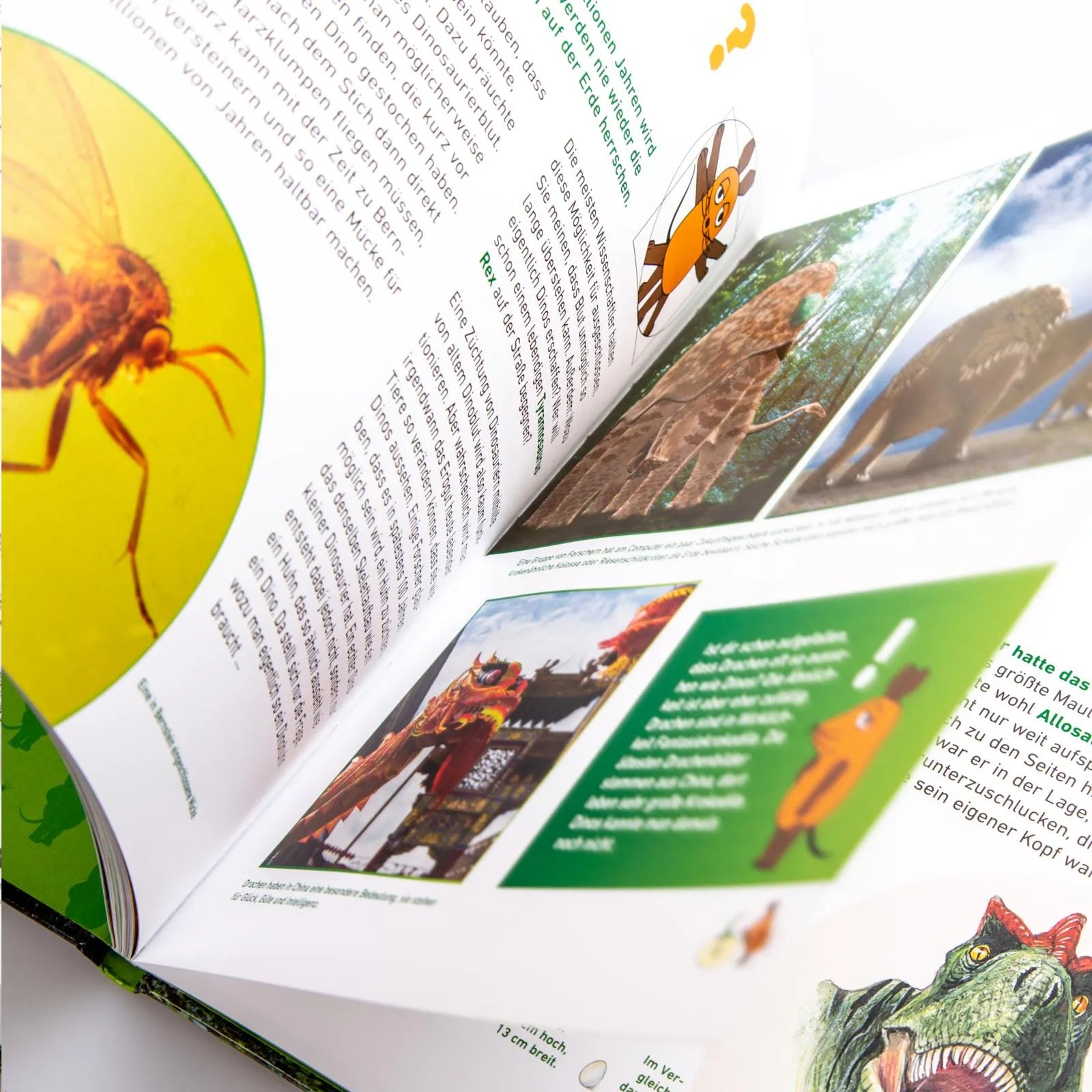 Produktansicht: Frag doch mal ... die Maus: Dinosaurier (Gebundene Ausgabe)