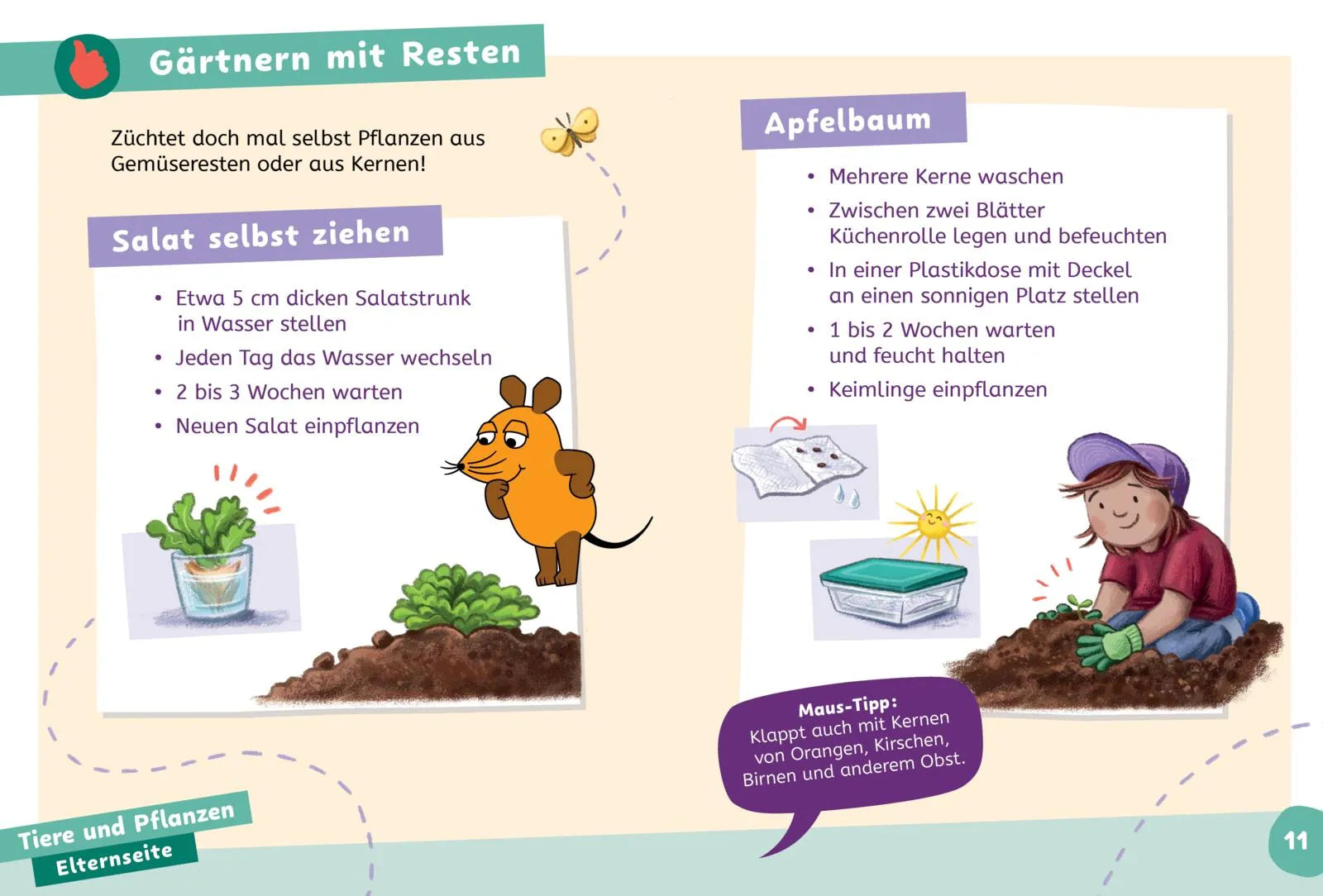 Sandra Noa - Frag doch mal ... die Maus: Wissen zum Schulstart: Natur und Umwelt