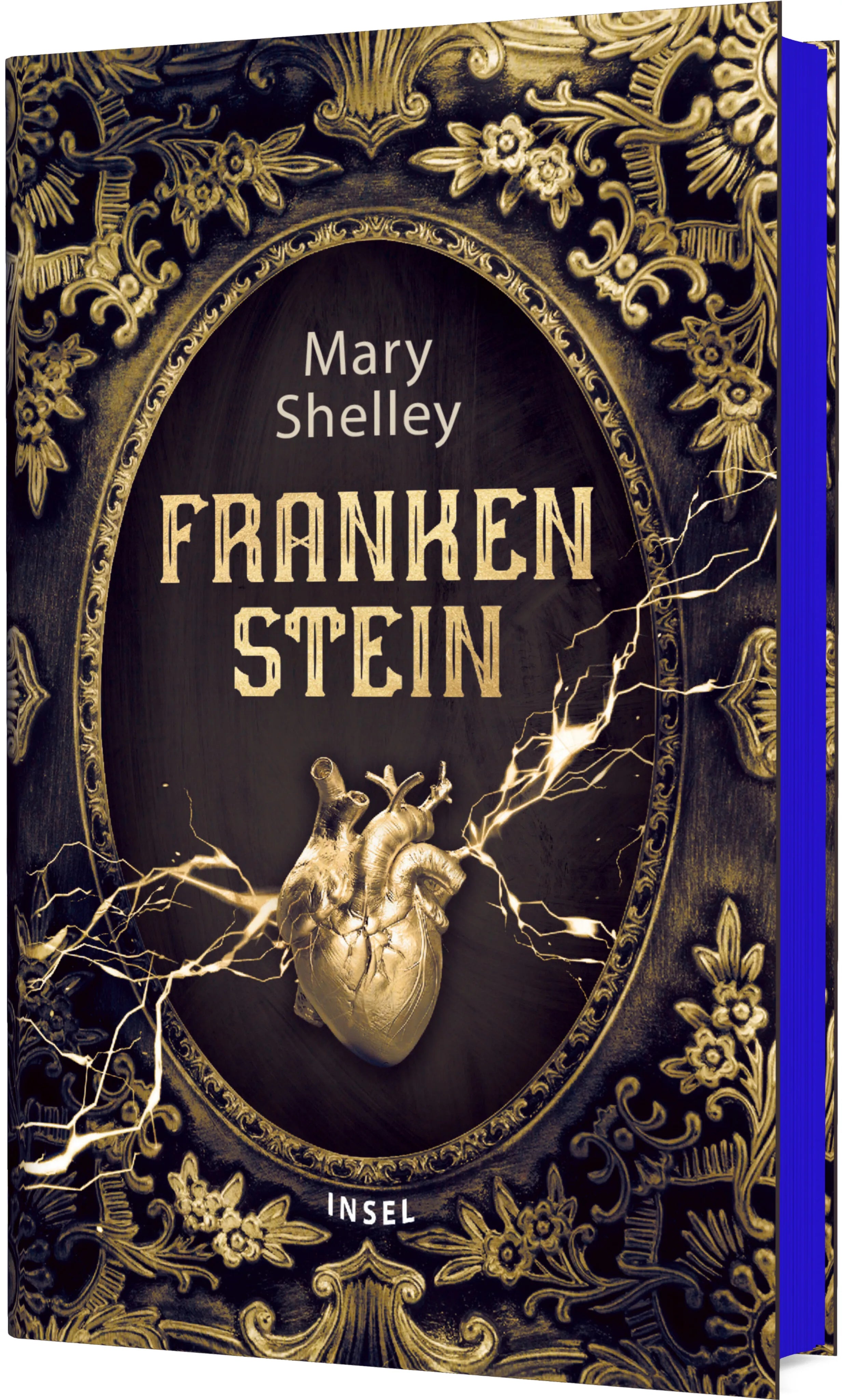 Cover: Frankenstein oder Der moderne Prometheus (Hardcover) von Mary Shelley