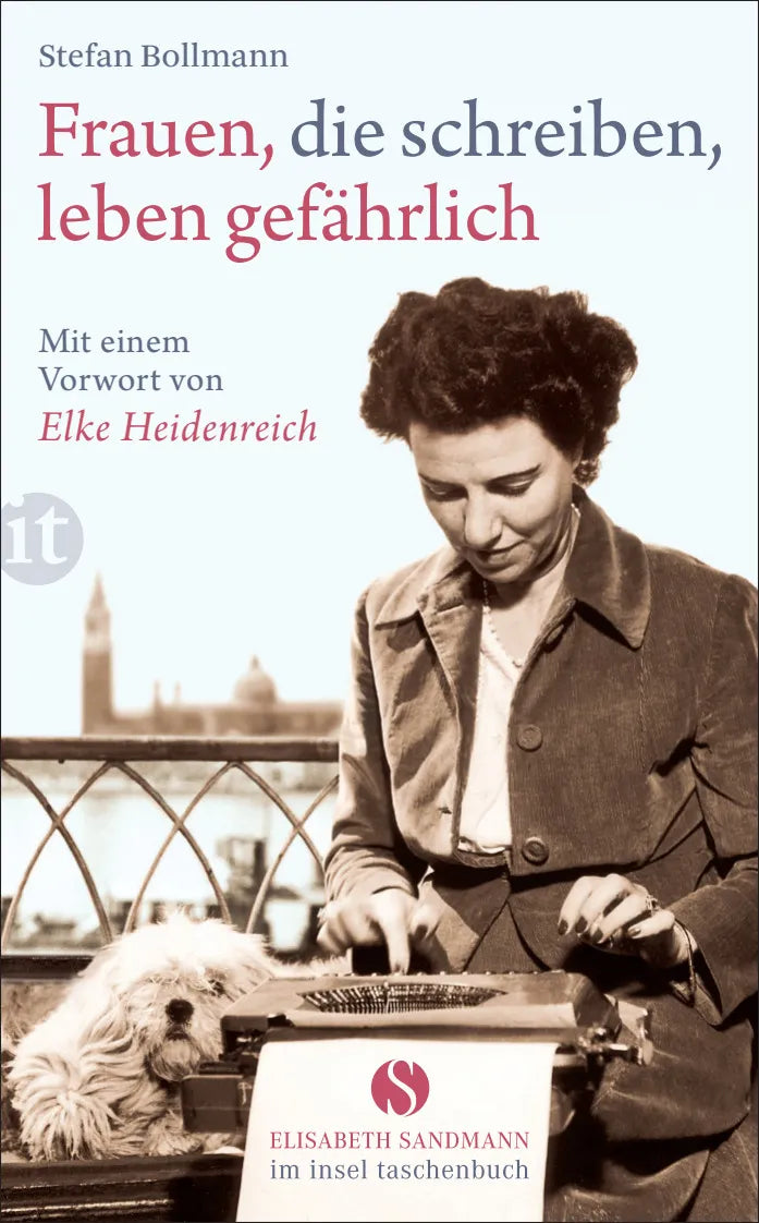 Buchcover von 'Frauen, die schreiben, leben gefährlich' - Taschenbuch von Stefan Bollmann