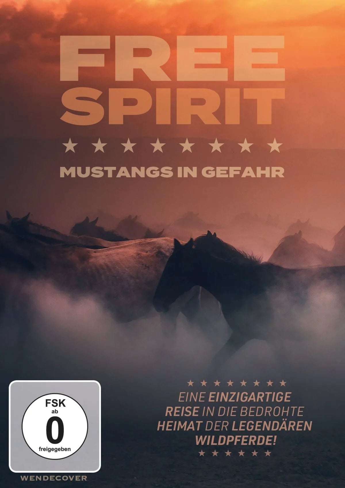 Free Spirit - Mustangs in Gefahr - DVD