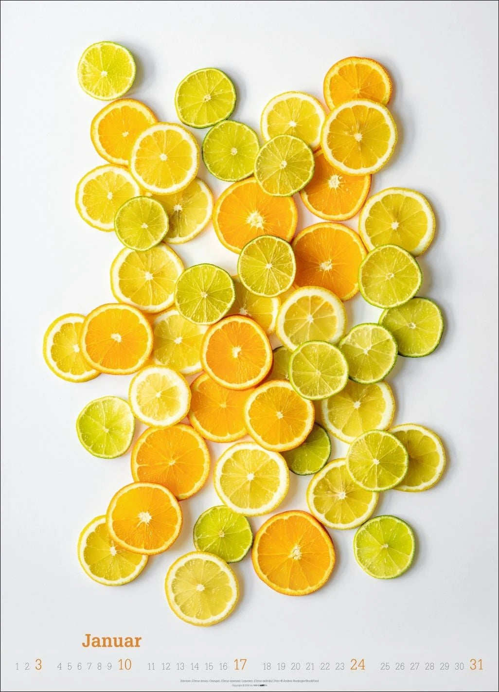 Fresh Food Kalender 2027 – Ansicht