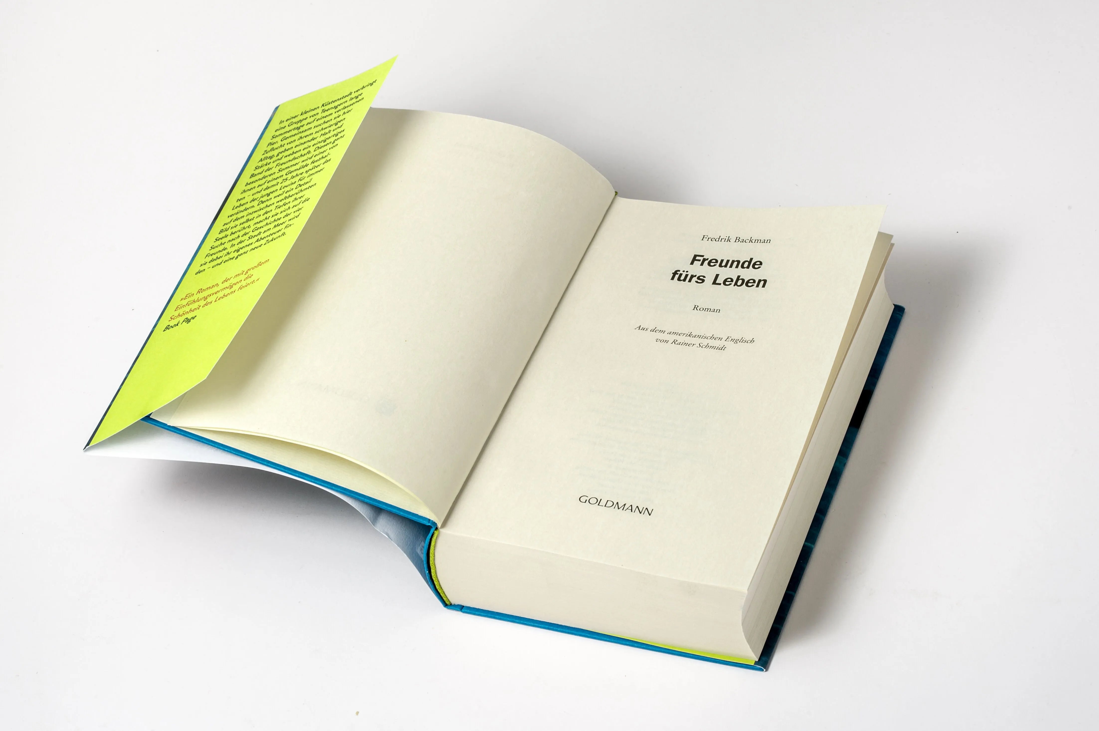 Detailansicht: Freunde fürs Leben (Hardcover)