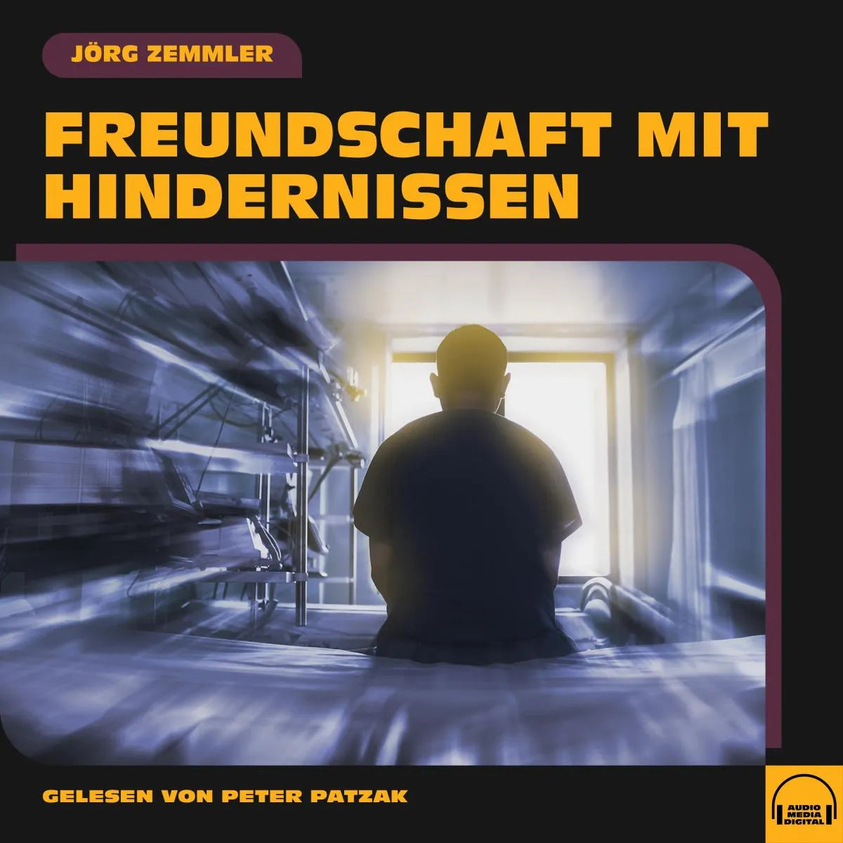 Cover: Freundschaft mit Hindernissen (Hörbuch Download) von Jörg Zemmler