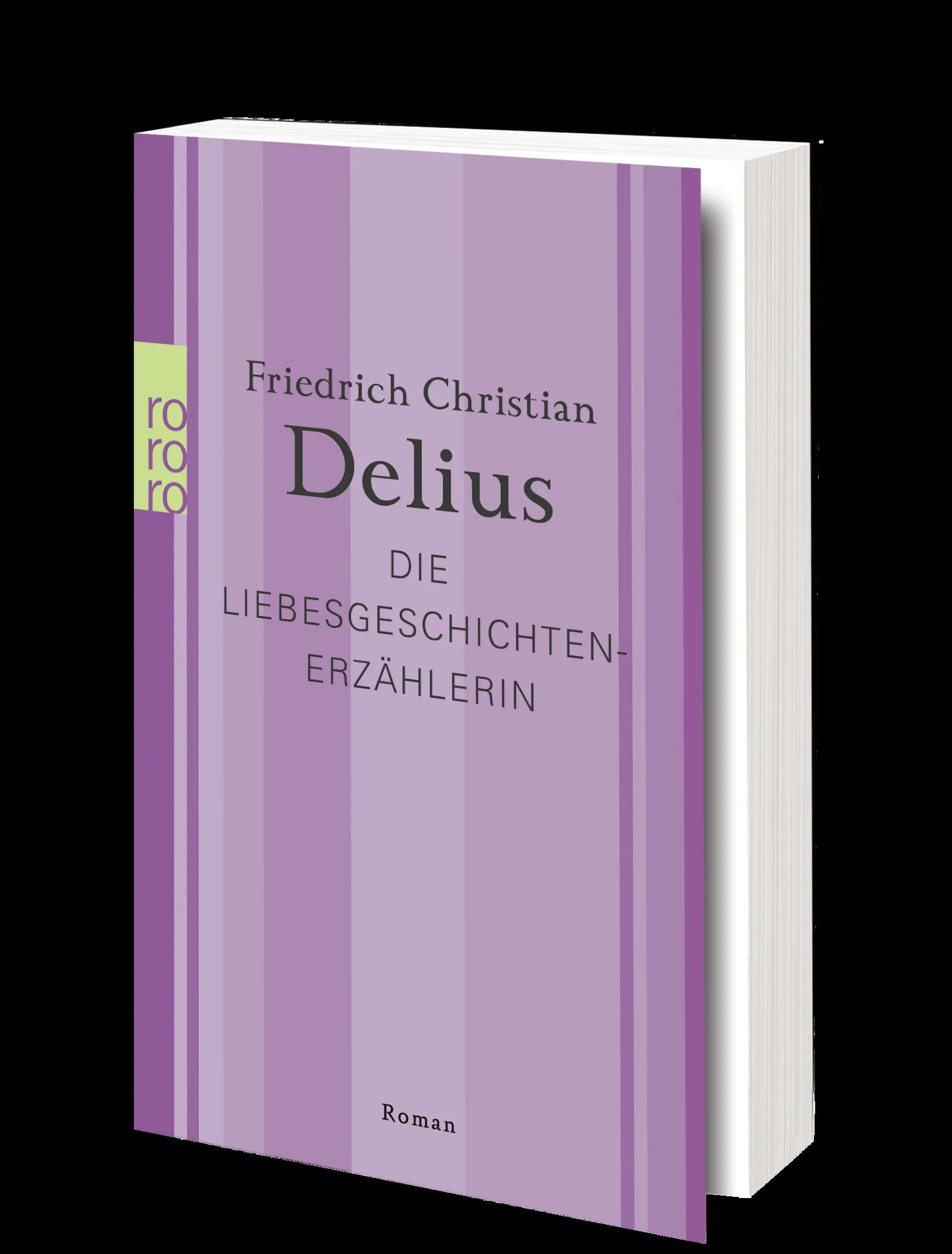 Produktansicht: Die Liebesgeschichtenerzählerin (Taschenbuch)