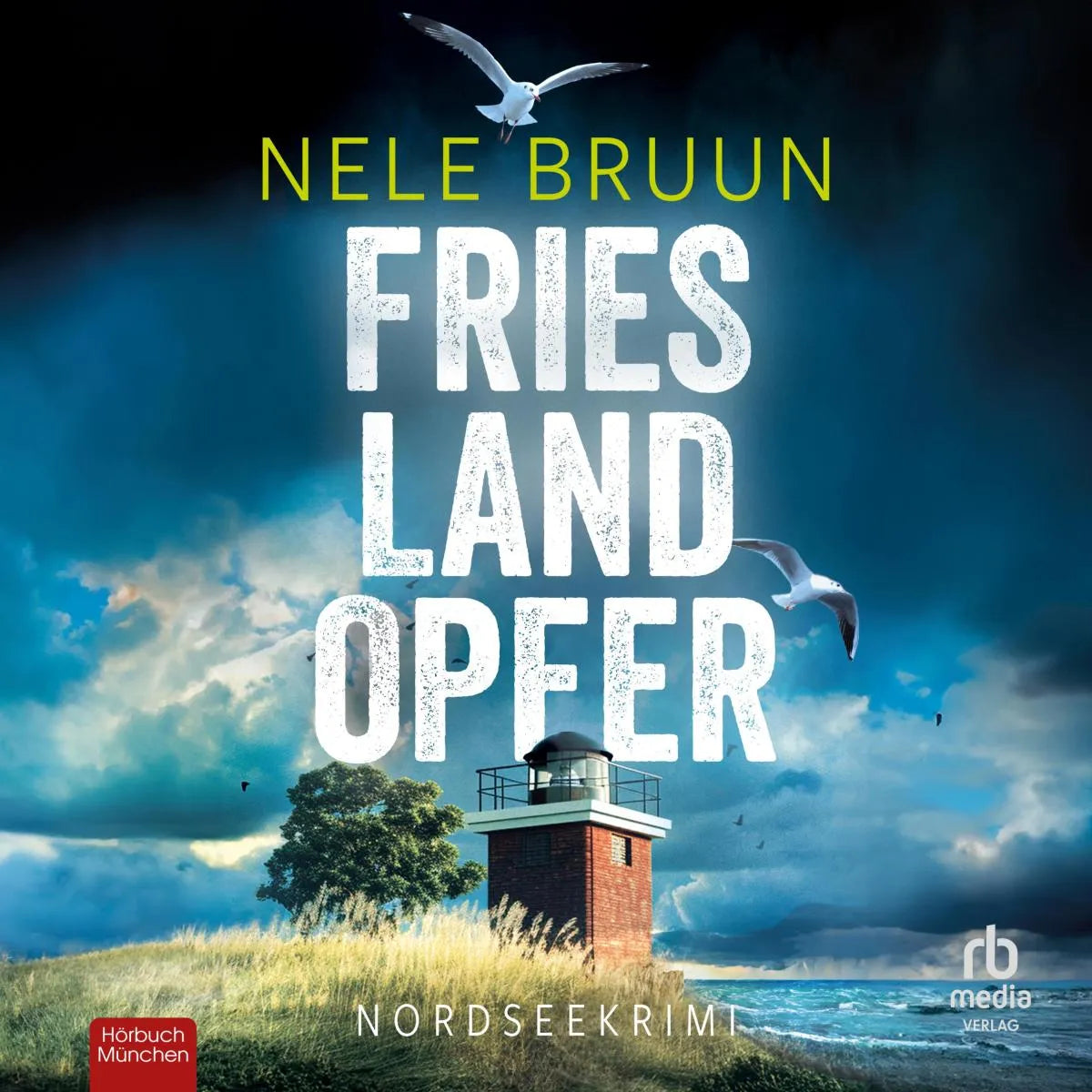 Cover: FriesLandOpfer (Hörbuch Download) von Nele Bruun