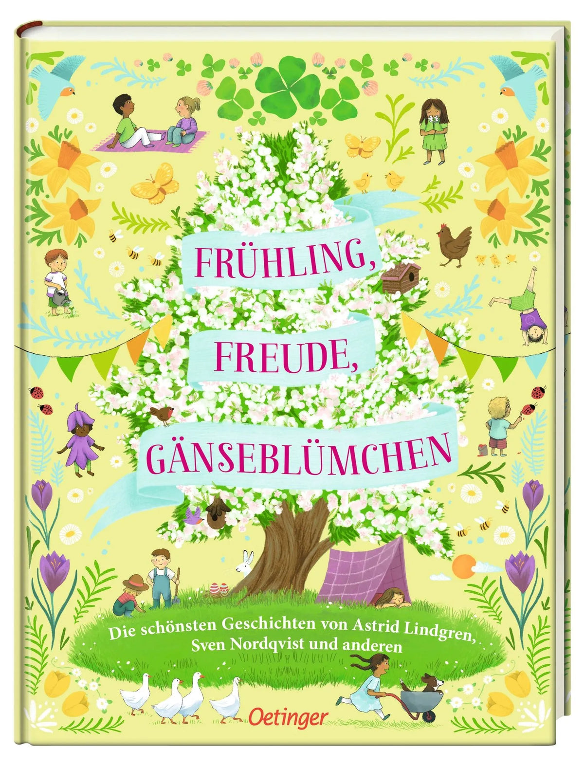 Detailansicht: Frühling, Freude, Gänseblümchen (Hardcover)