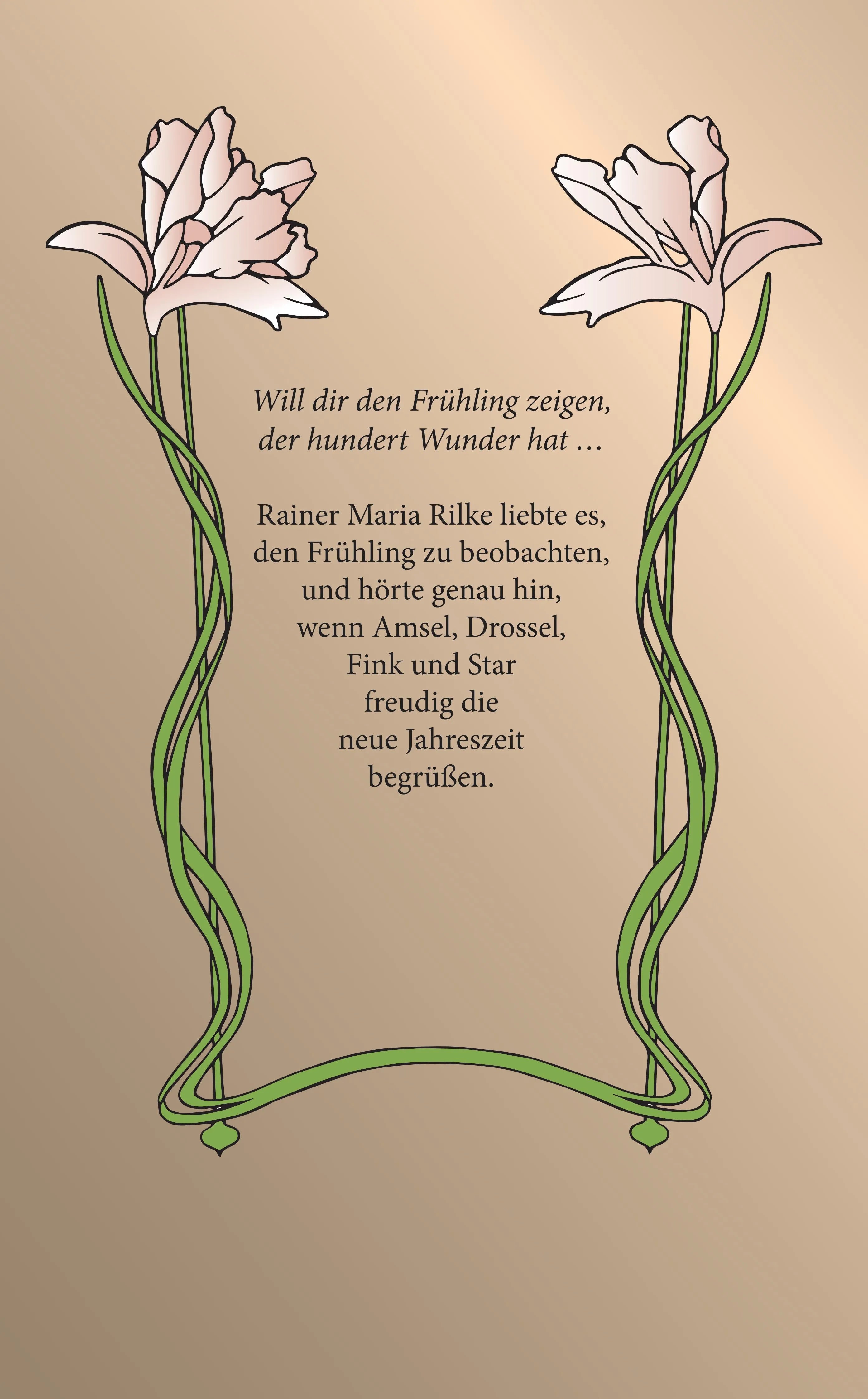 Rückseite: Frühling (Taschenbuch)