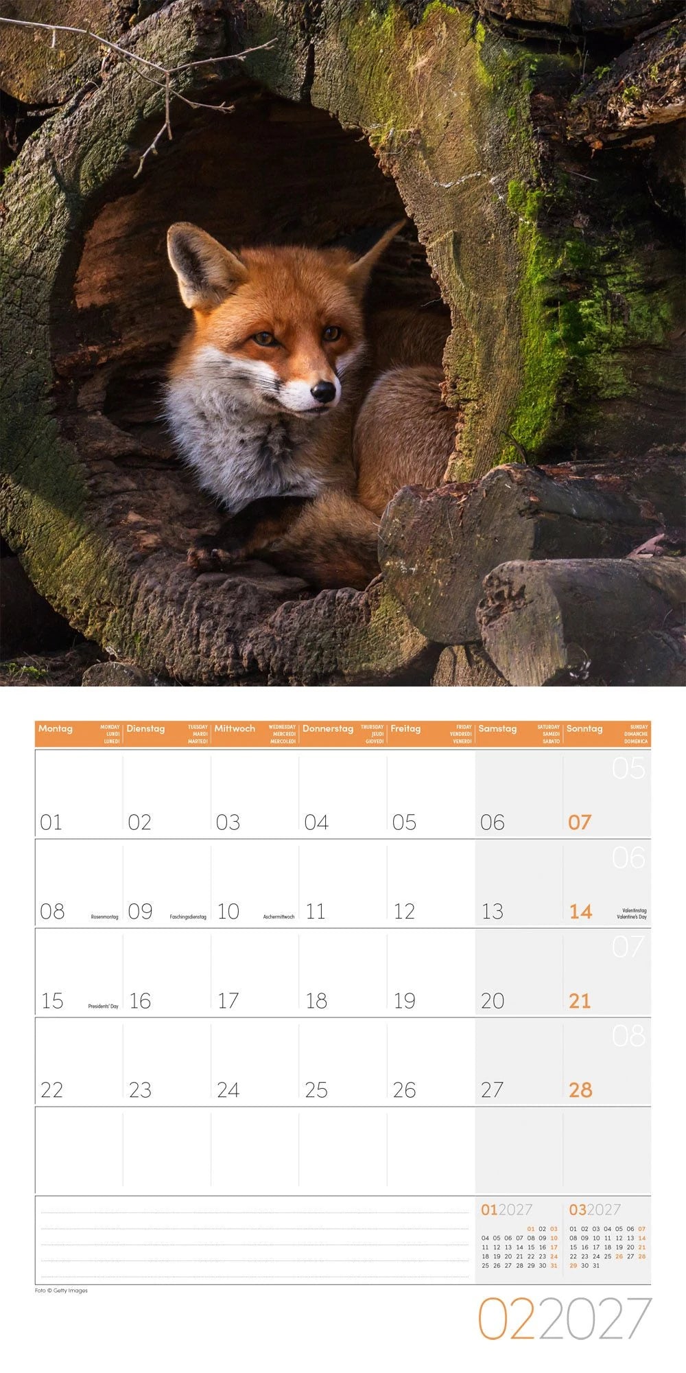 Füchse Kalender 2027 - 30x30 - Art12 – Ansicht