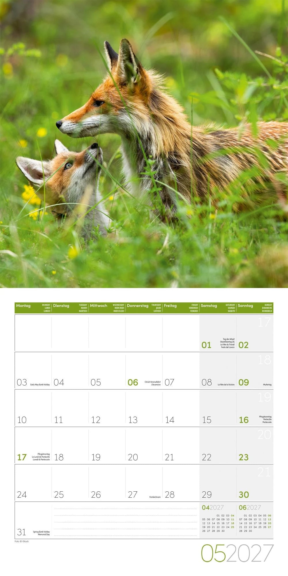 Füchse Kalender 2027 - 30x30 - Art12 – Ansicht