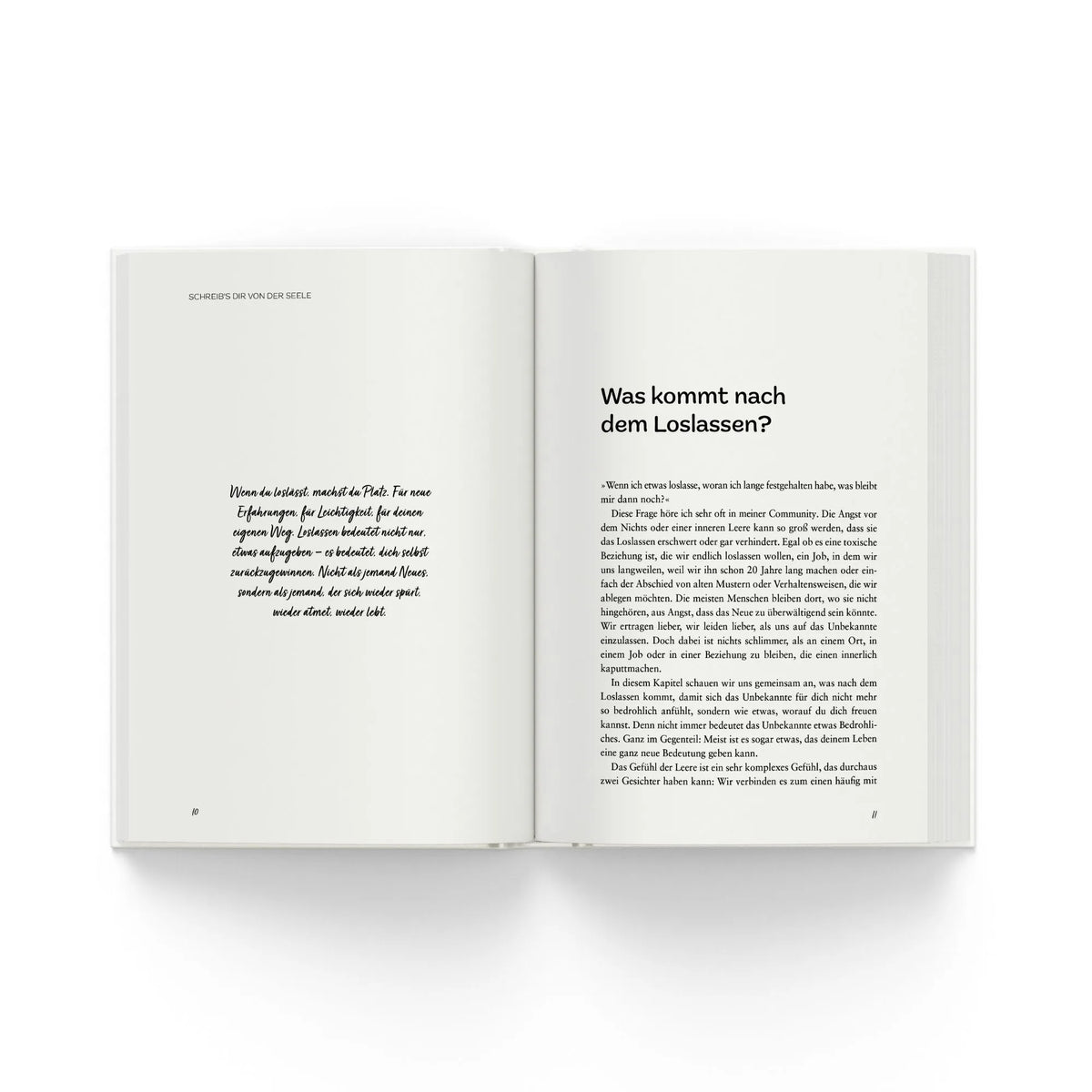 Detailansicht: Fühl es, schreib es, lass es los (Taschenbuch)