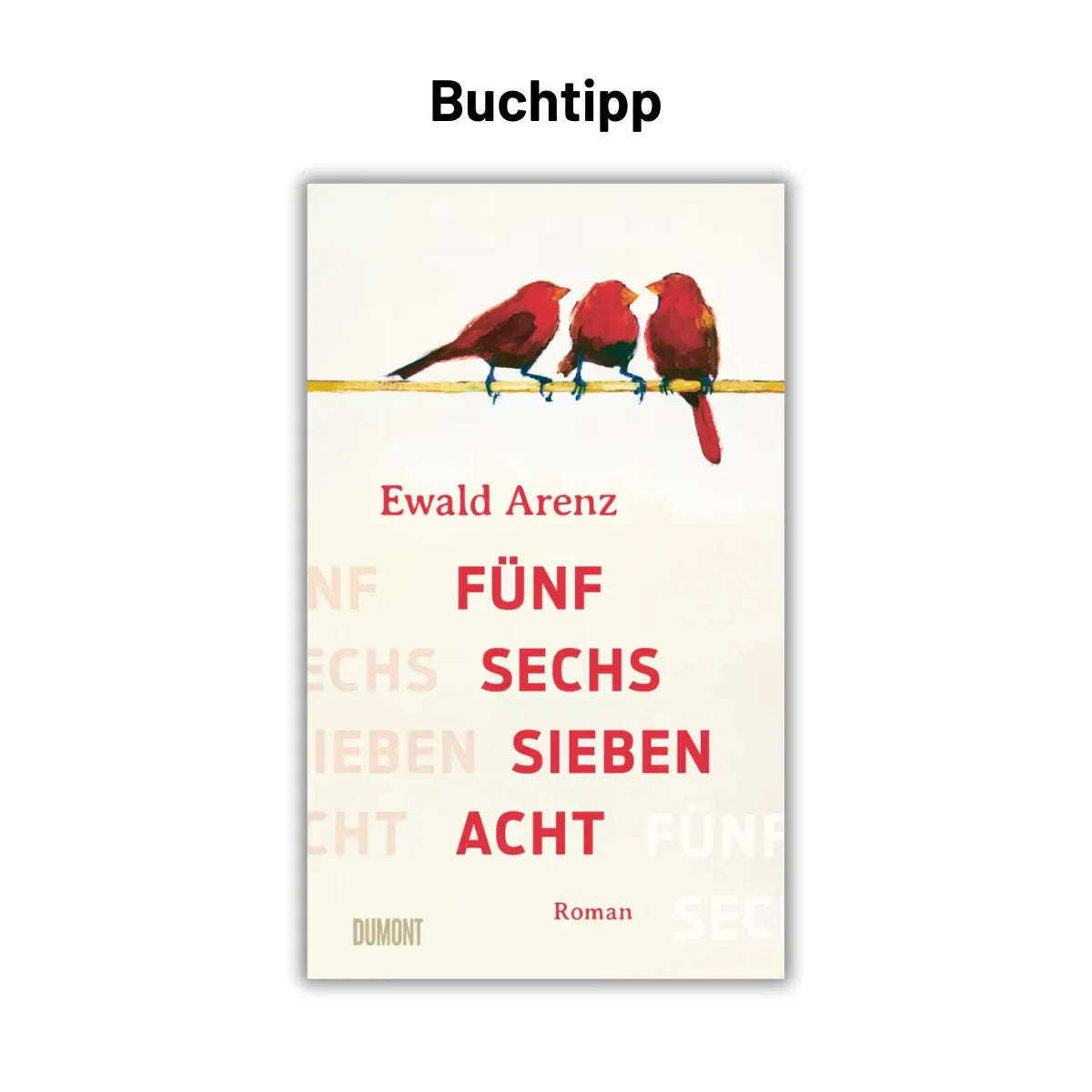 Fünf, sechs, sieben, acht von Ewald Arenz als Buchtipp bei CineBuch entdecken