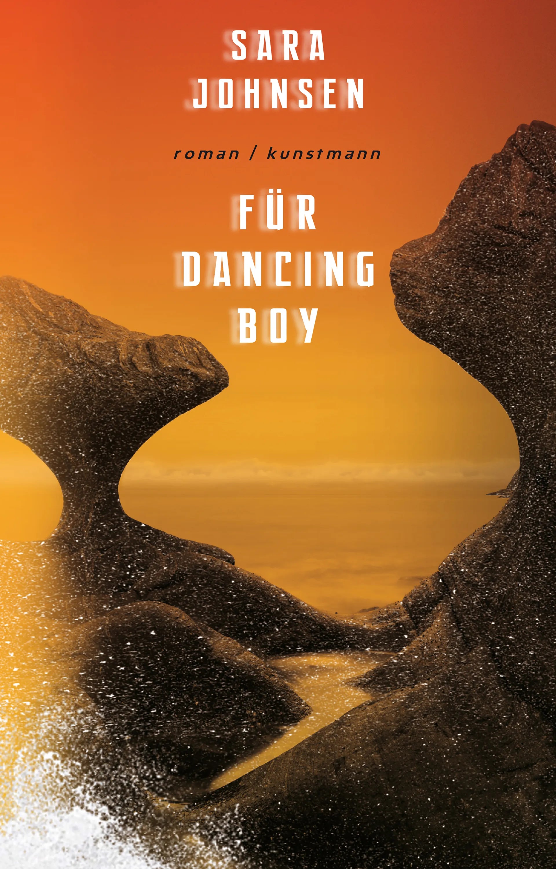 Cover: Für Dancing Boy (E-Book) von Sara Johnsen
