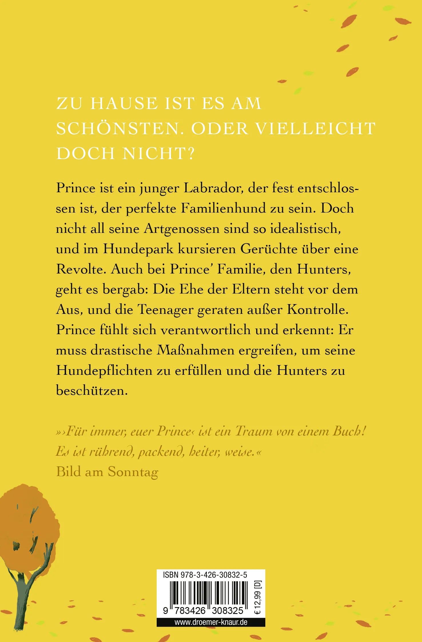 Buchrückseite von 'Für immer, euer Prince' mit Klappentext - Taschenbuch