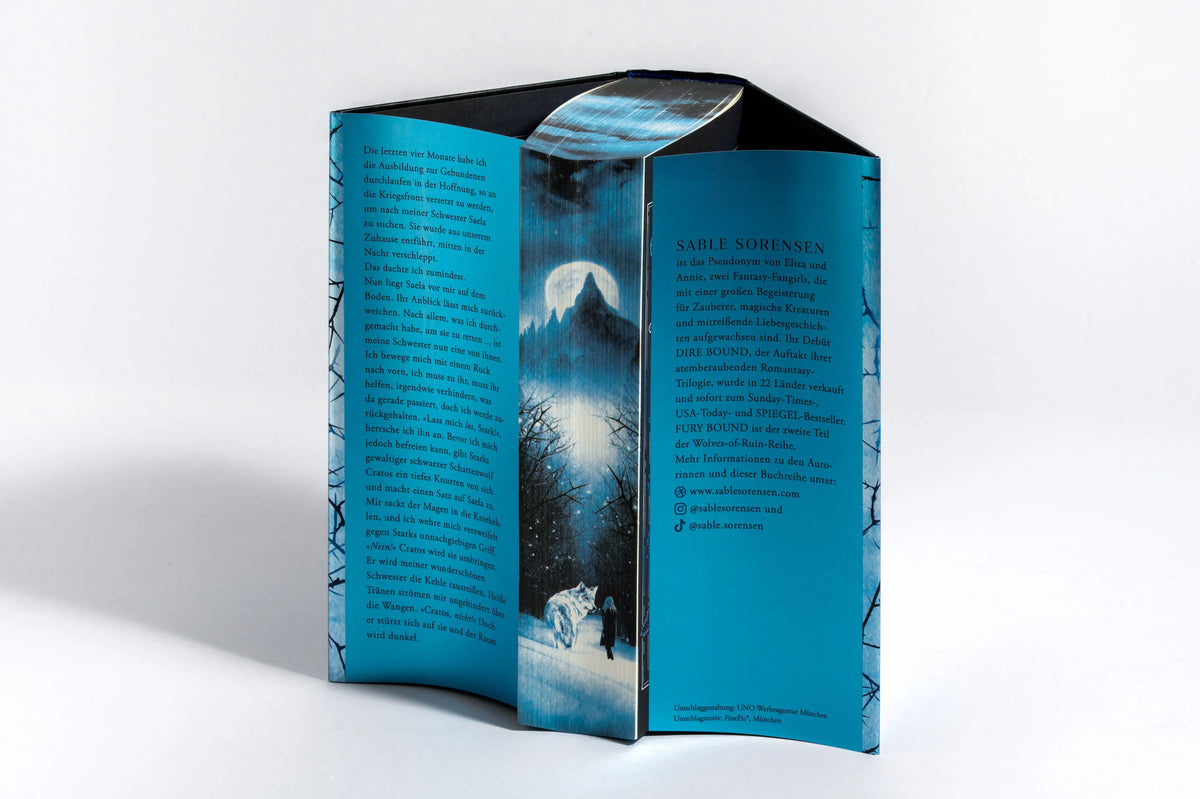 Detailansicht: Fury Bound (Hardcover)