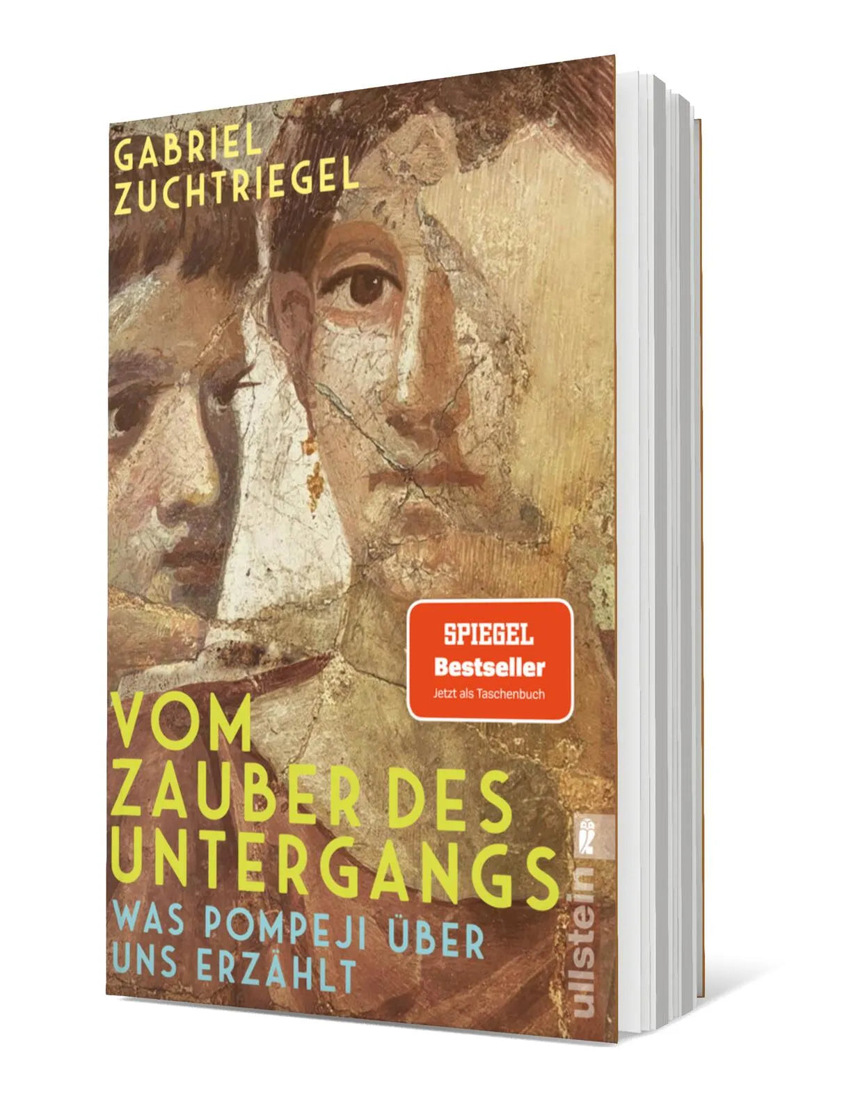 Produktansicht: Vom Zauber des Untergangs (Paperback)