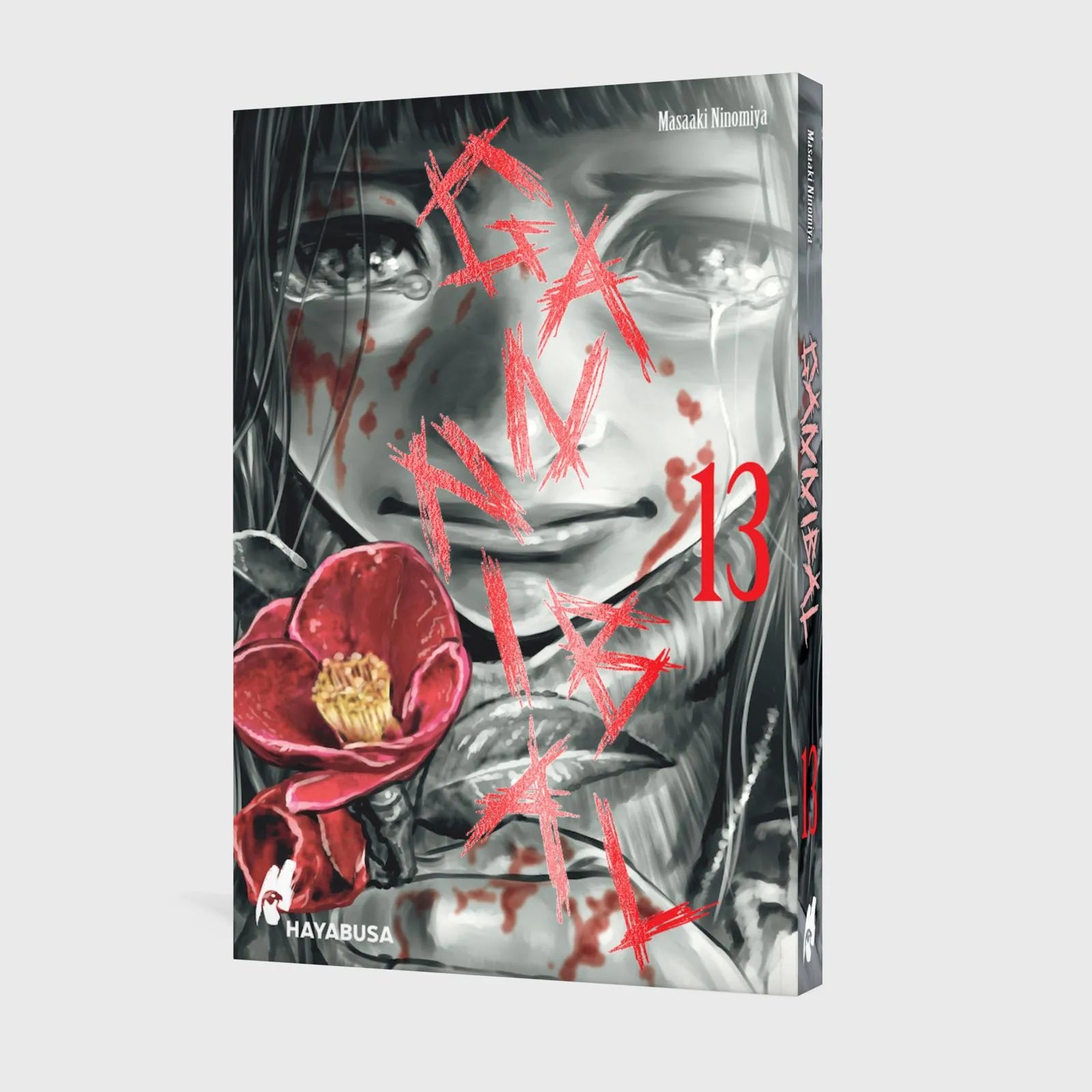 Detailansicht: Gannibal 13 (Paperback)