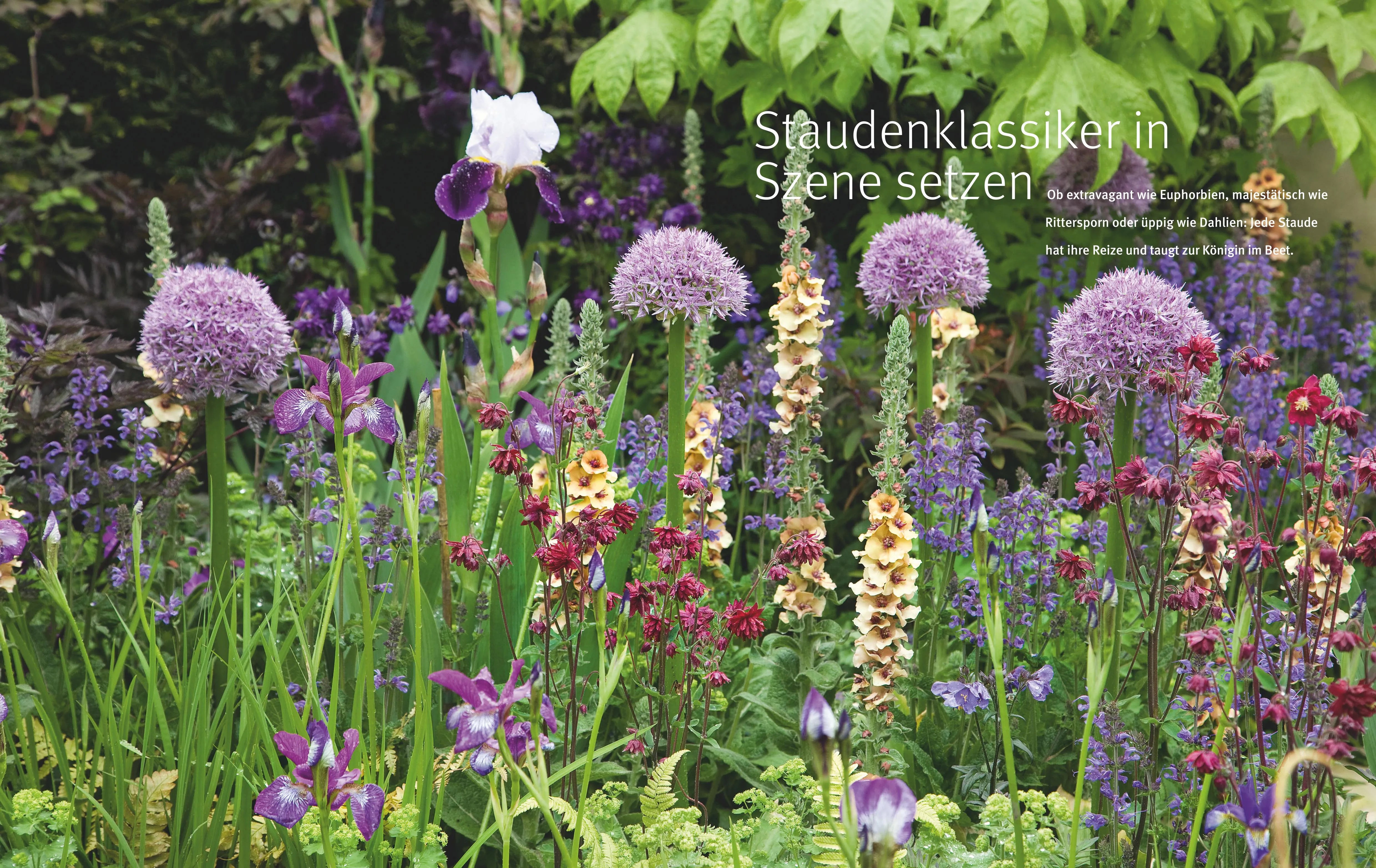 Produktansicht: Ganzjährig attraktive Beete mit Blatt und Blüte (Gebundene Ausgabe)