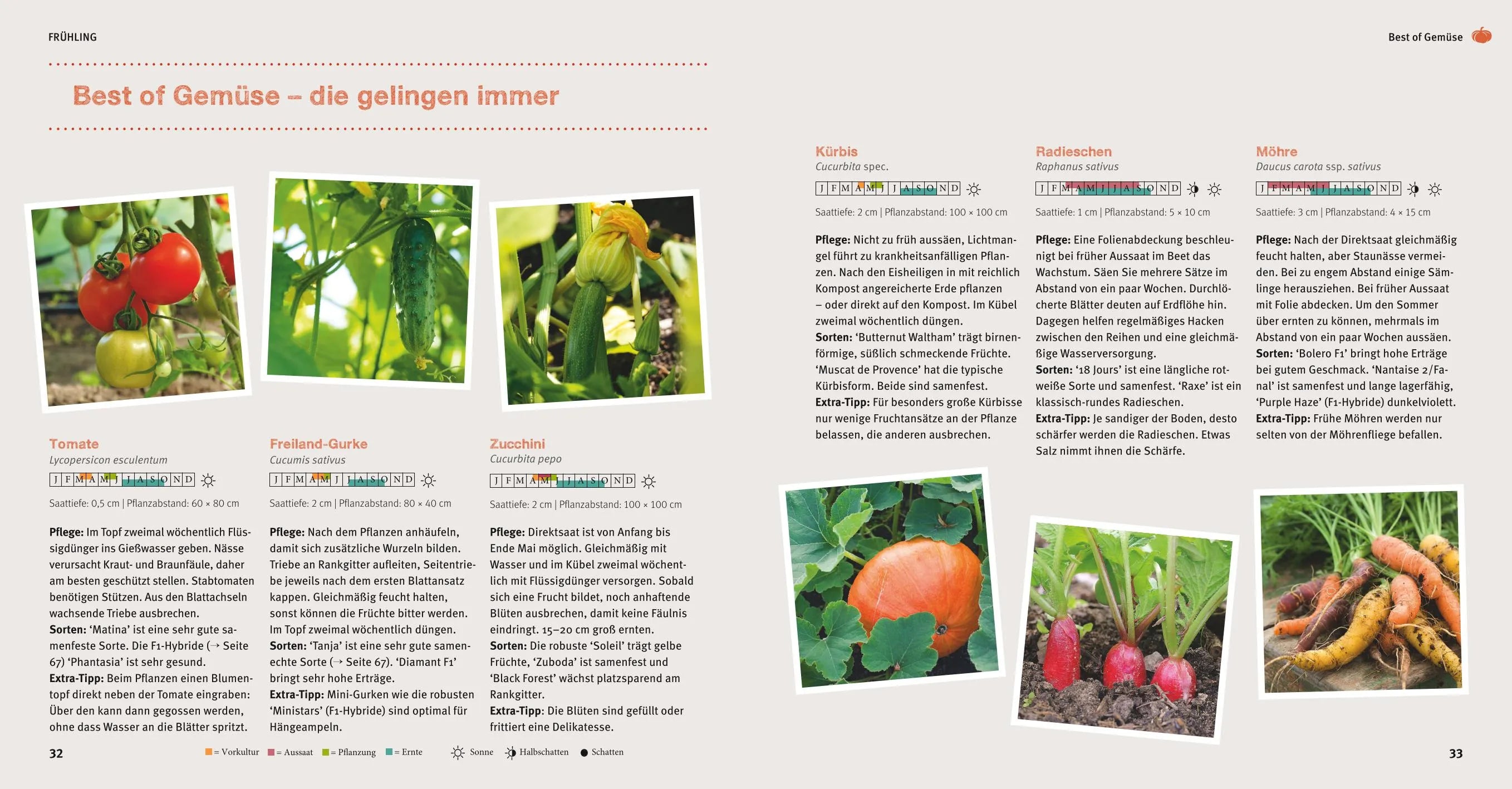 Produktansicht: Garten Basics (Paperback)