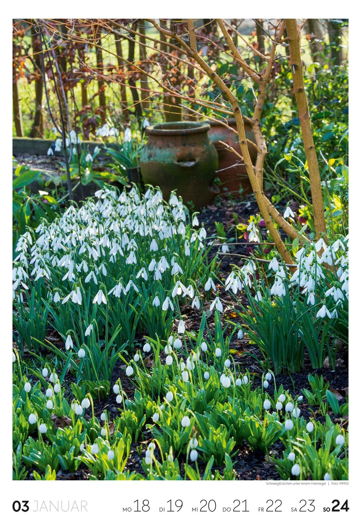 Garten Wochenkalender 2027 – Ansicht