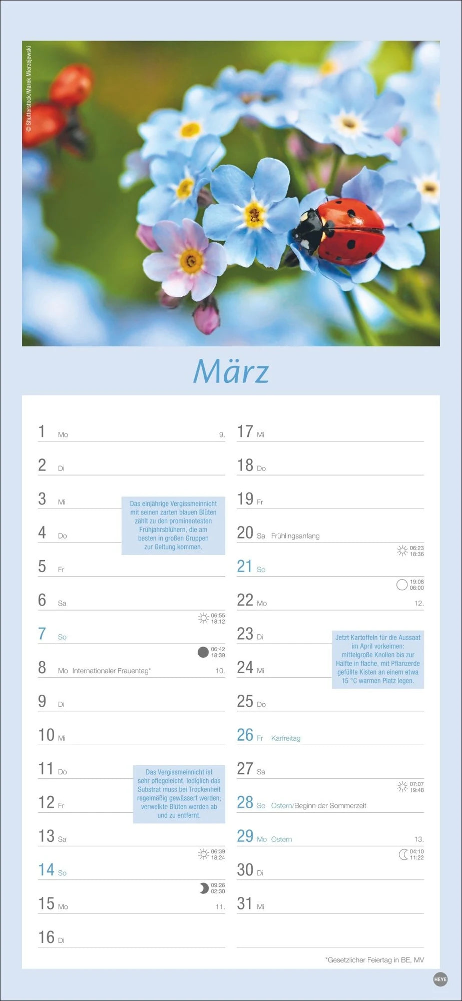 Gartenplaner 2027 – Ansicht
