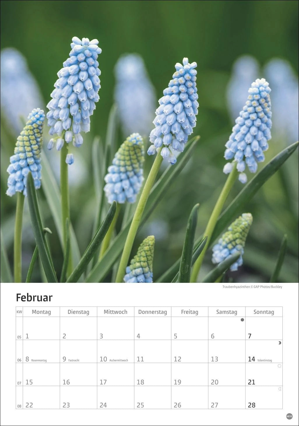 Gartenzauber Kalender 2027 – Ansicht