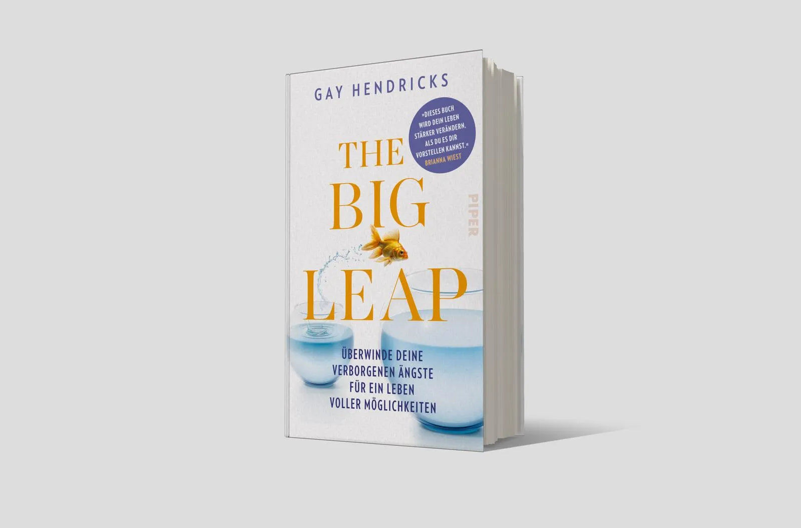 Produktansicht: The Big Leap (Gebundene Ausgabe)