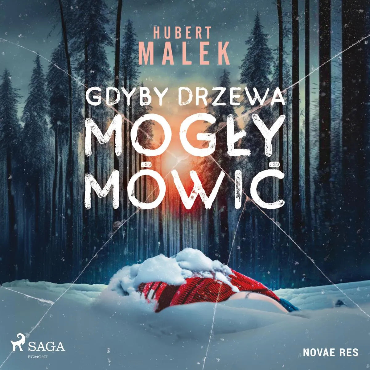 Cover: Gdyby drzewa mogły mówić (Hörbuch Download) von Hubert Malek