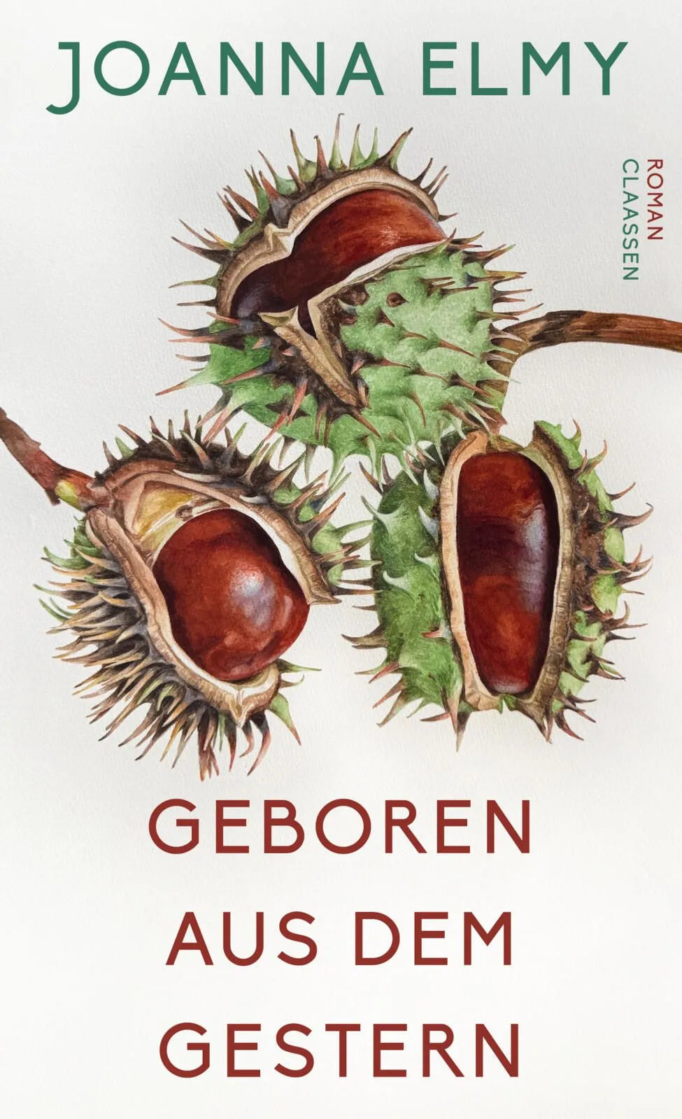 Cover: Geboren aus dem Gestern (Hardcover) von Joanna Elmy