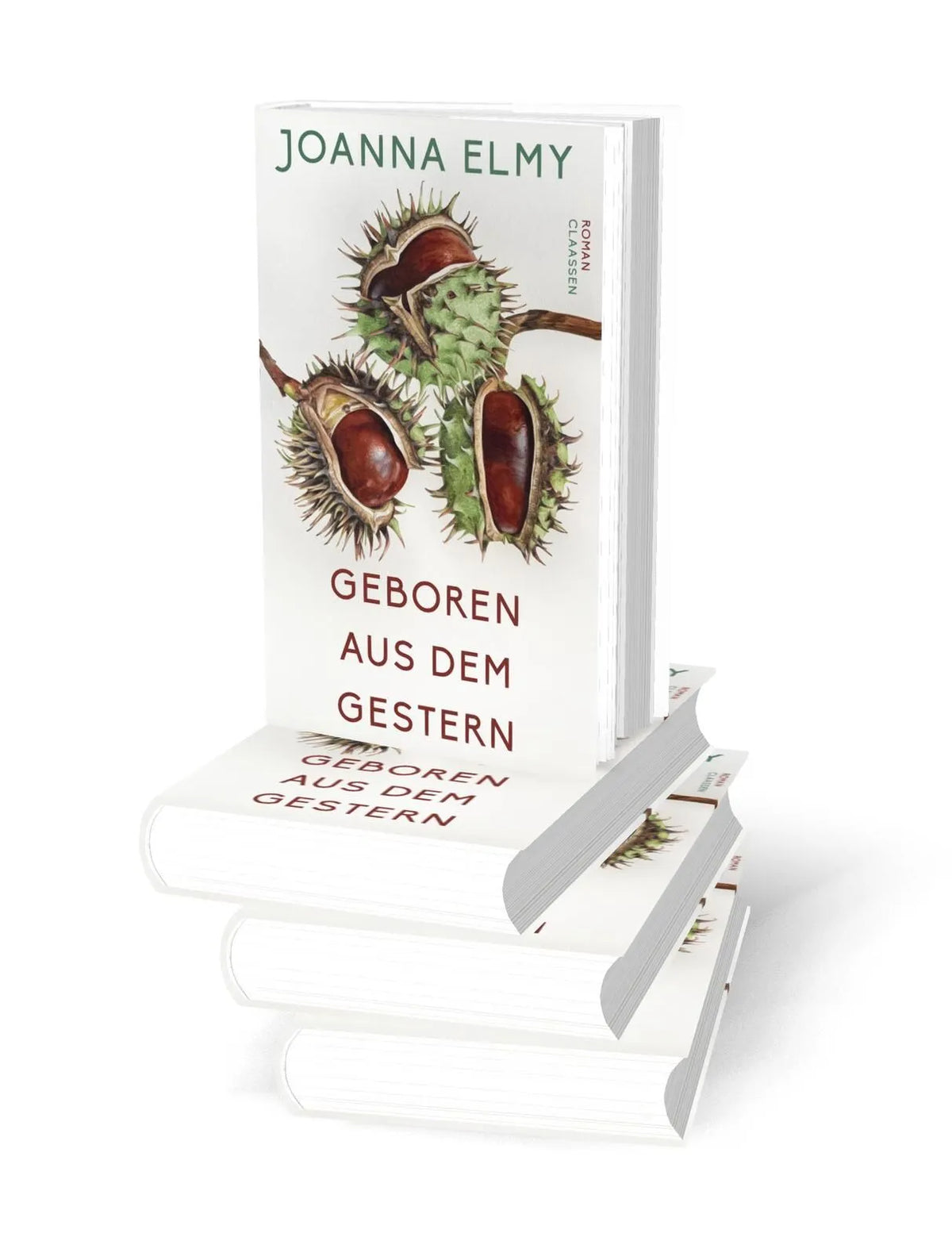Detailansicht: Geboren aus dem Gestern (Hardcover)