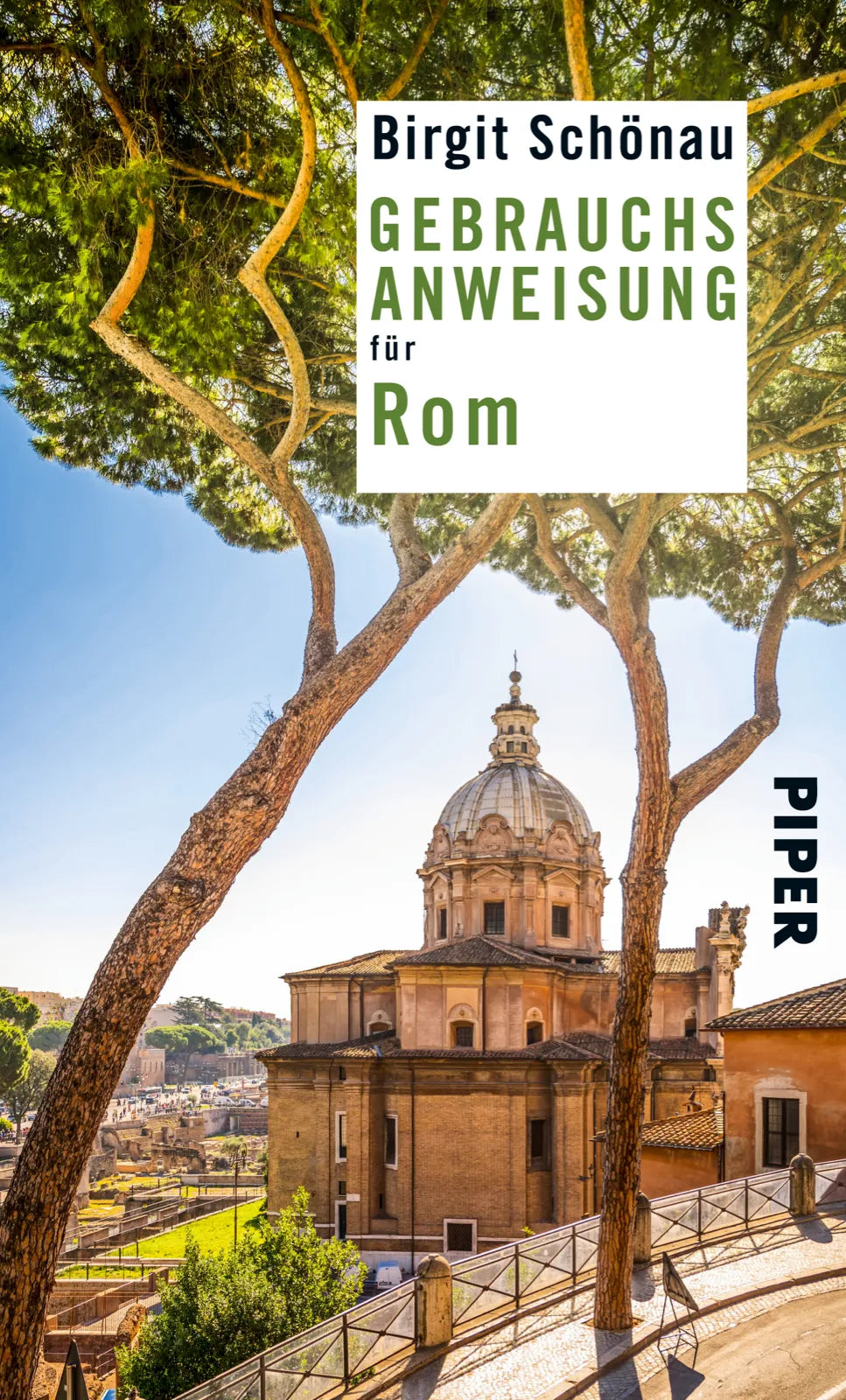 Buchcover von 'Gebrauchsanweisung für Rom' - Taschenbuch von Birgit Schönau